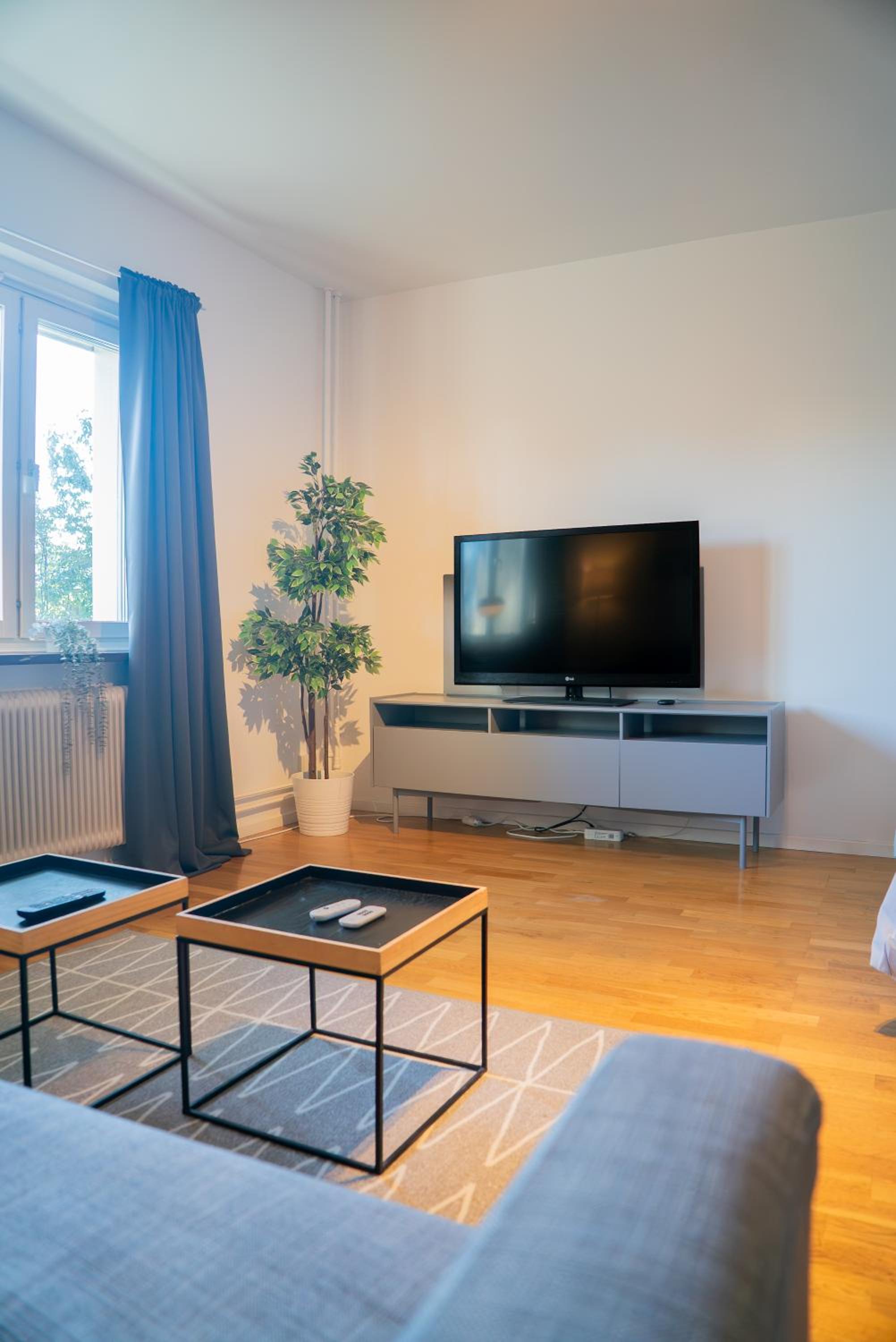 Welcoming Studio Near Cafés, City & Tram Lines