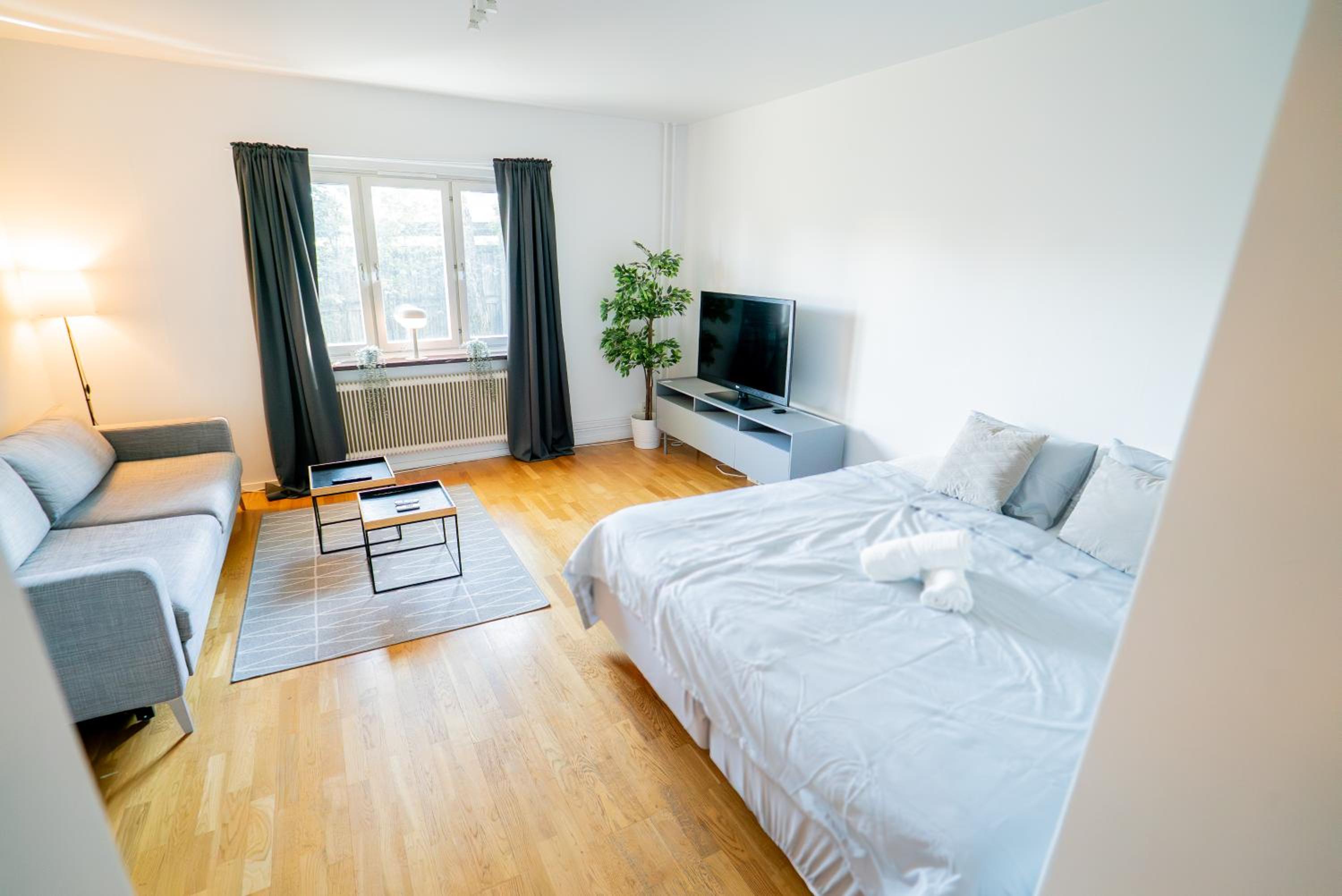 Welcoming Studio Near Cafés, City & Tram Lines
