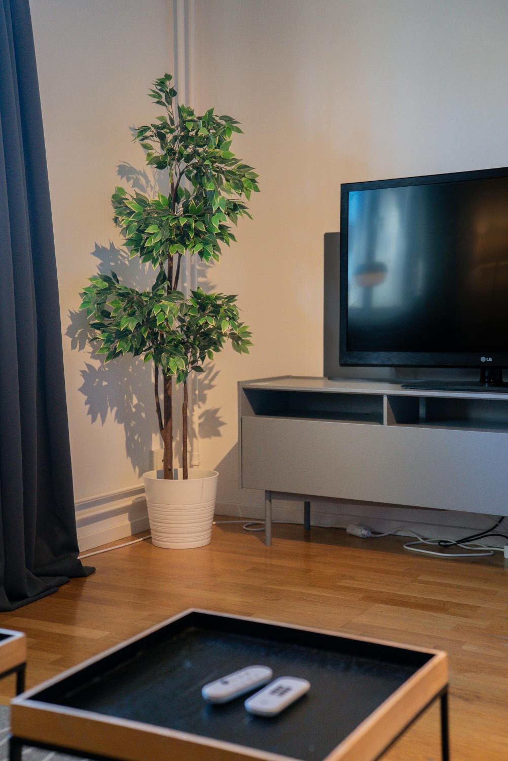 Welcoming Studio Near Cafés, City & Tram Lines