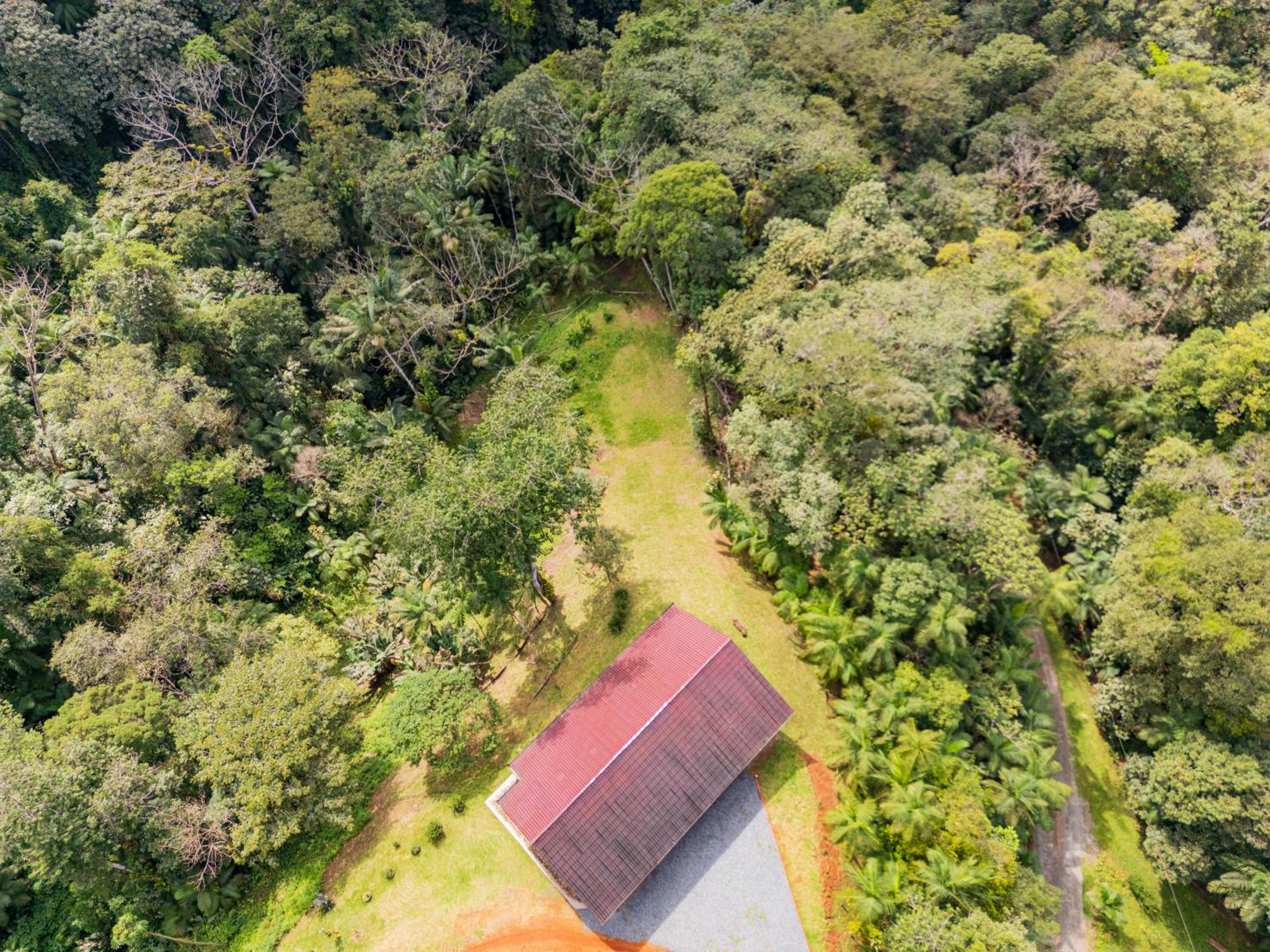 Sitio Dona Bela - Rio da Prata