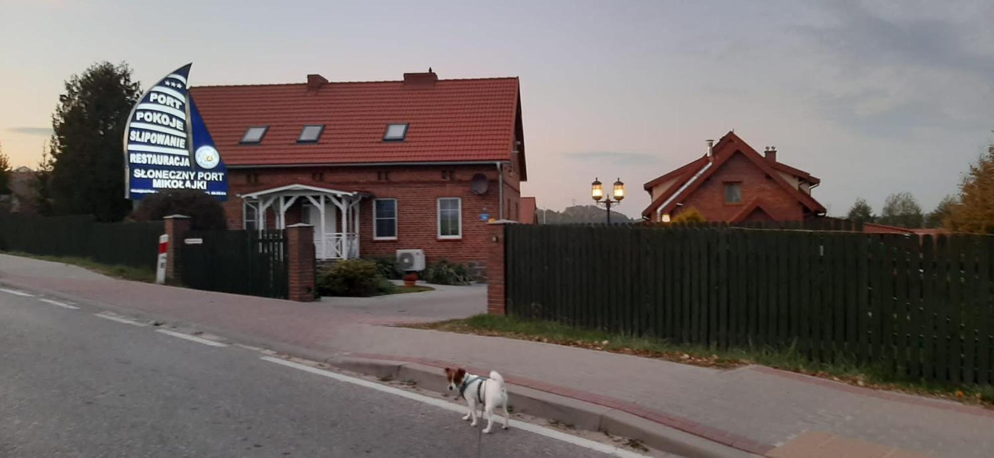 Photo 42