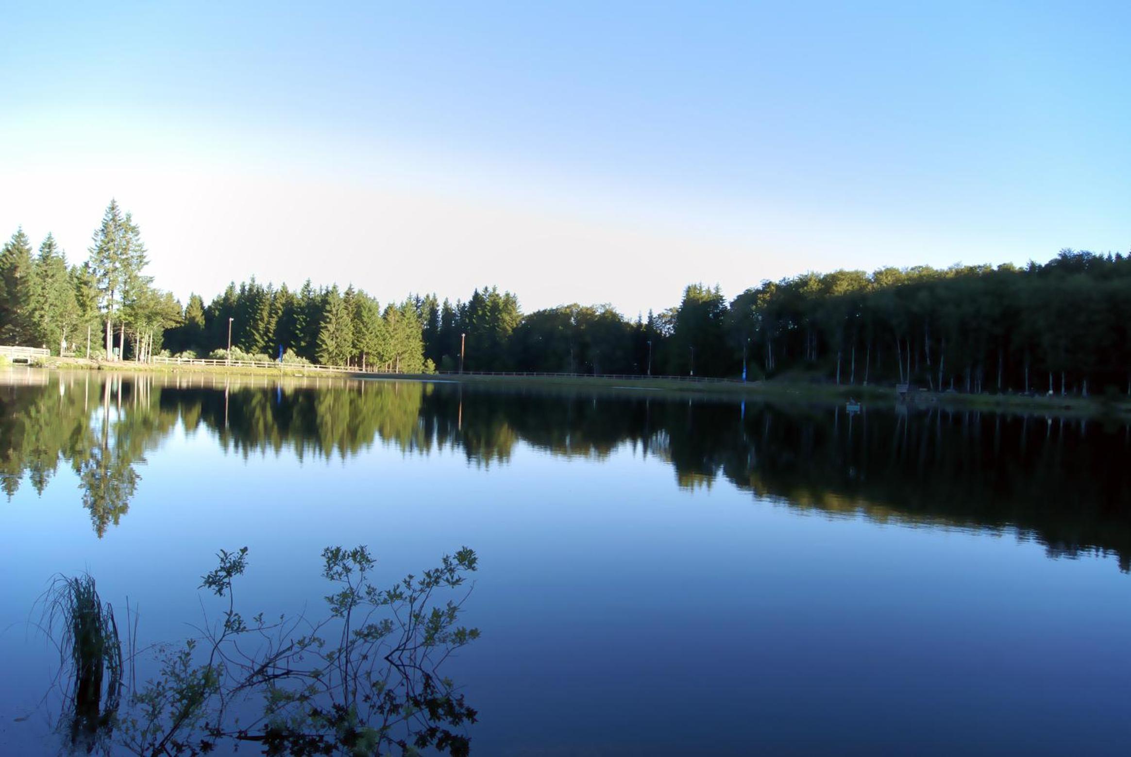 Photo 46