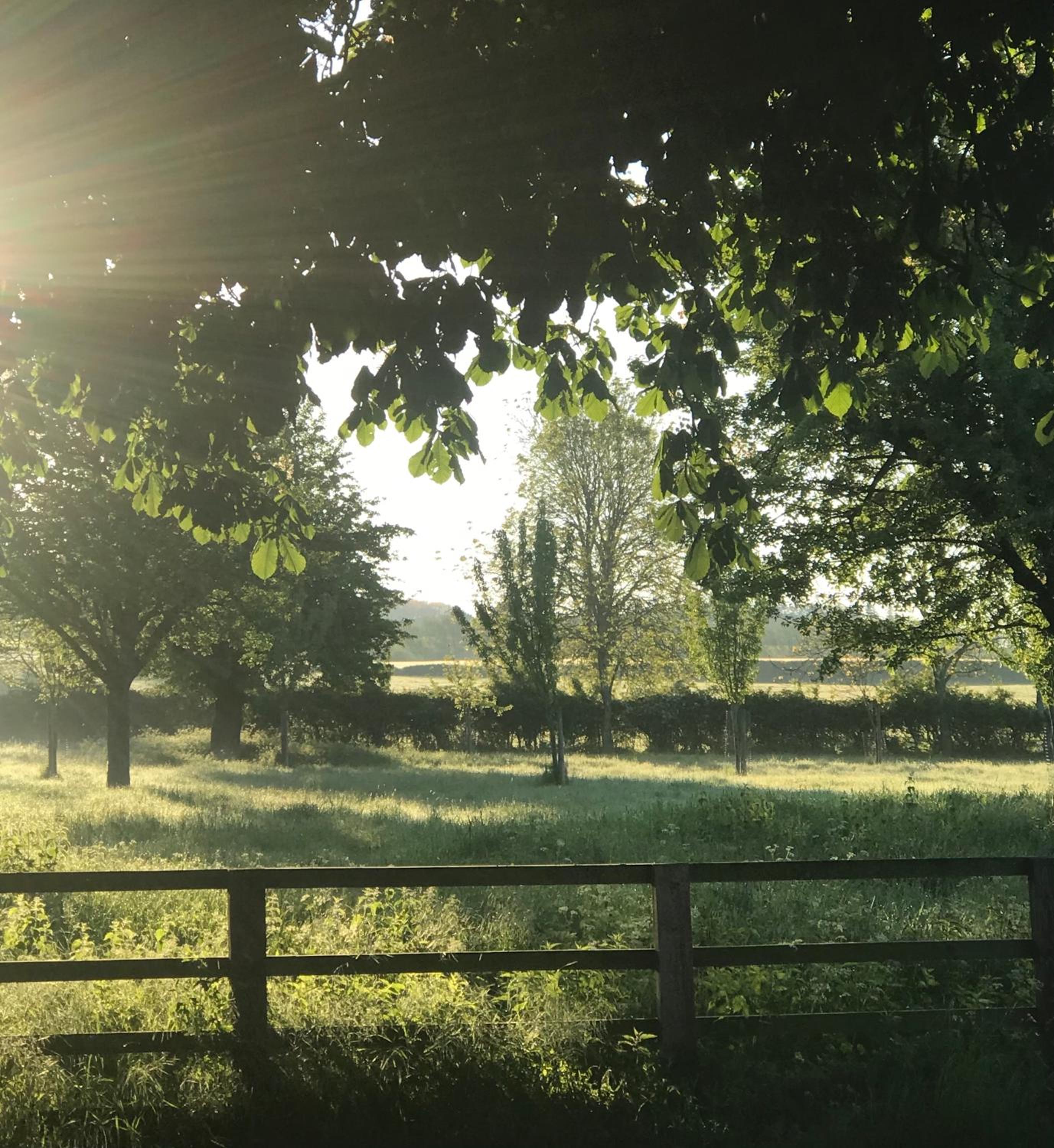 Four Seasons Cottage - in the Cotswolds