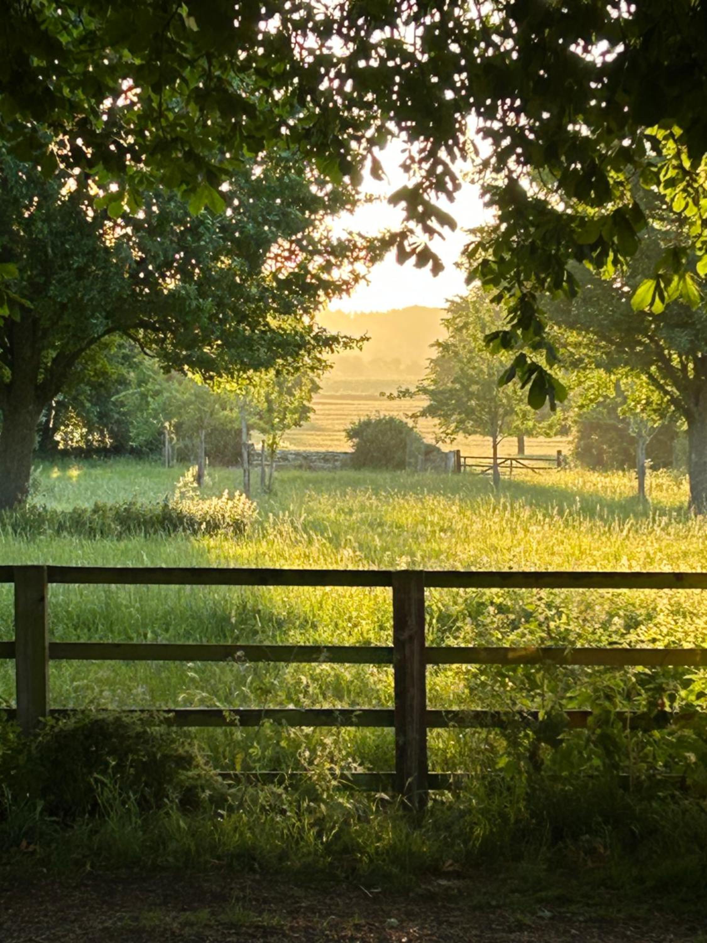 Four Seasons Cottage - in the Cotswolds