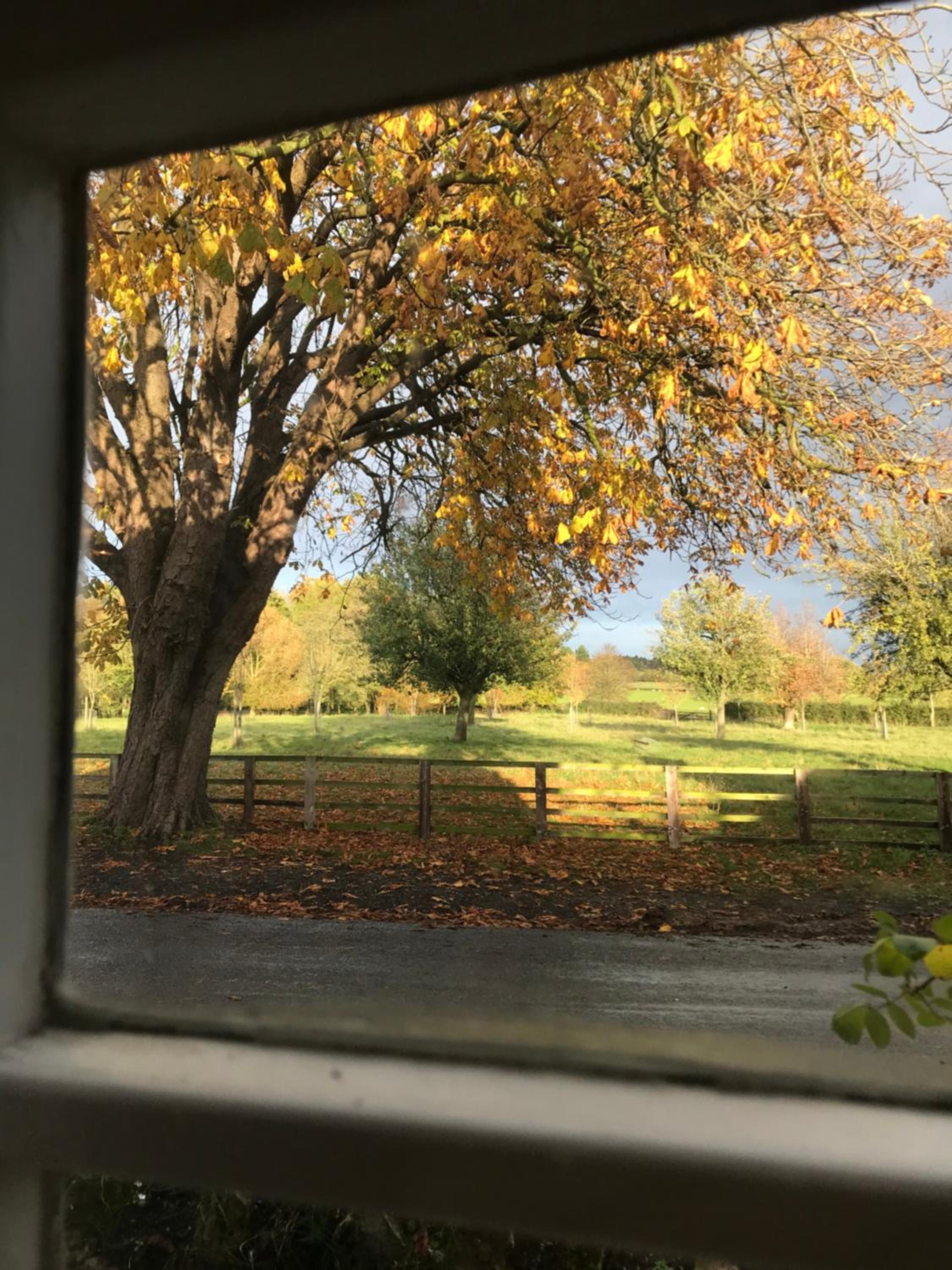 Four Seasons Cottage - in the Cotswolds