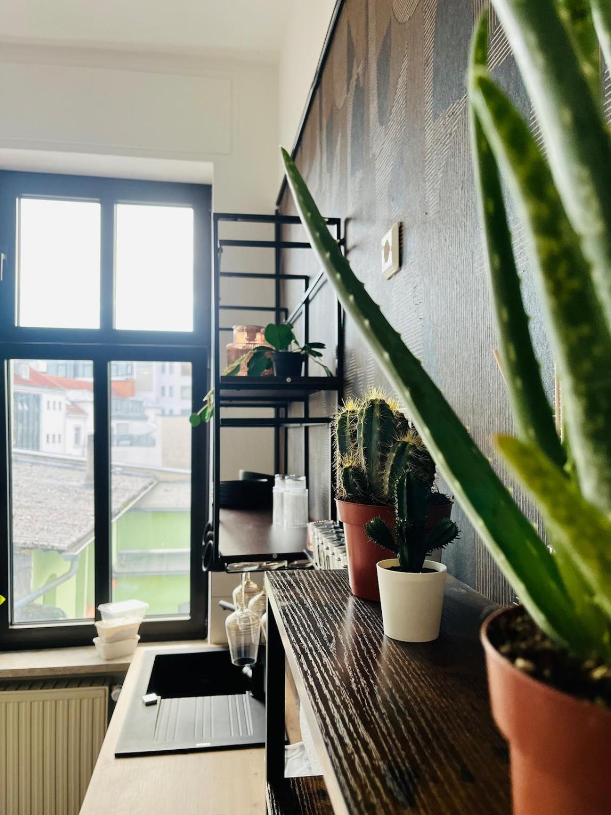 Altbau-Juwel, Antik trifft Modern im Denkmalhaus