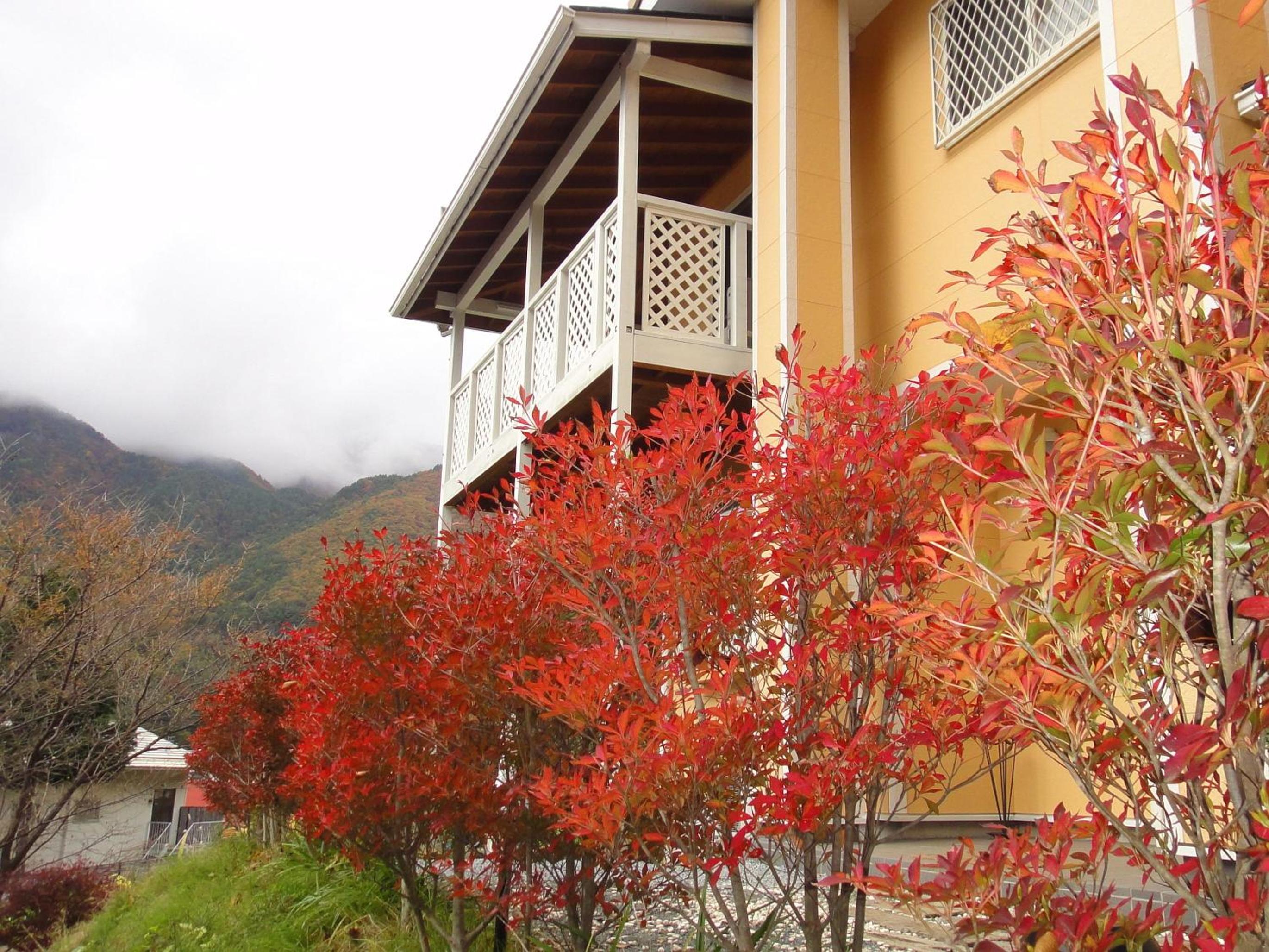 Villa Relax