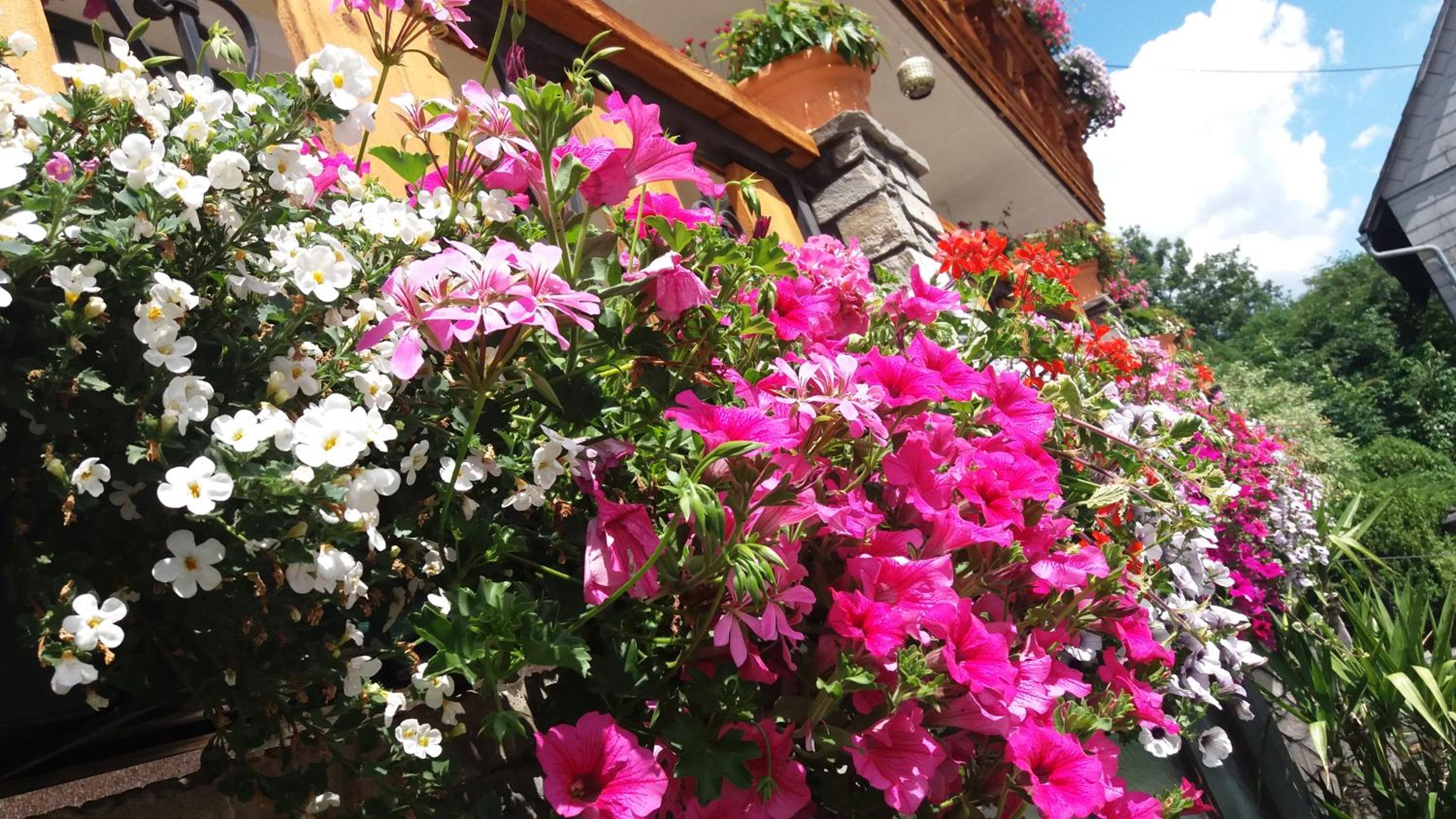 Wagnerhof