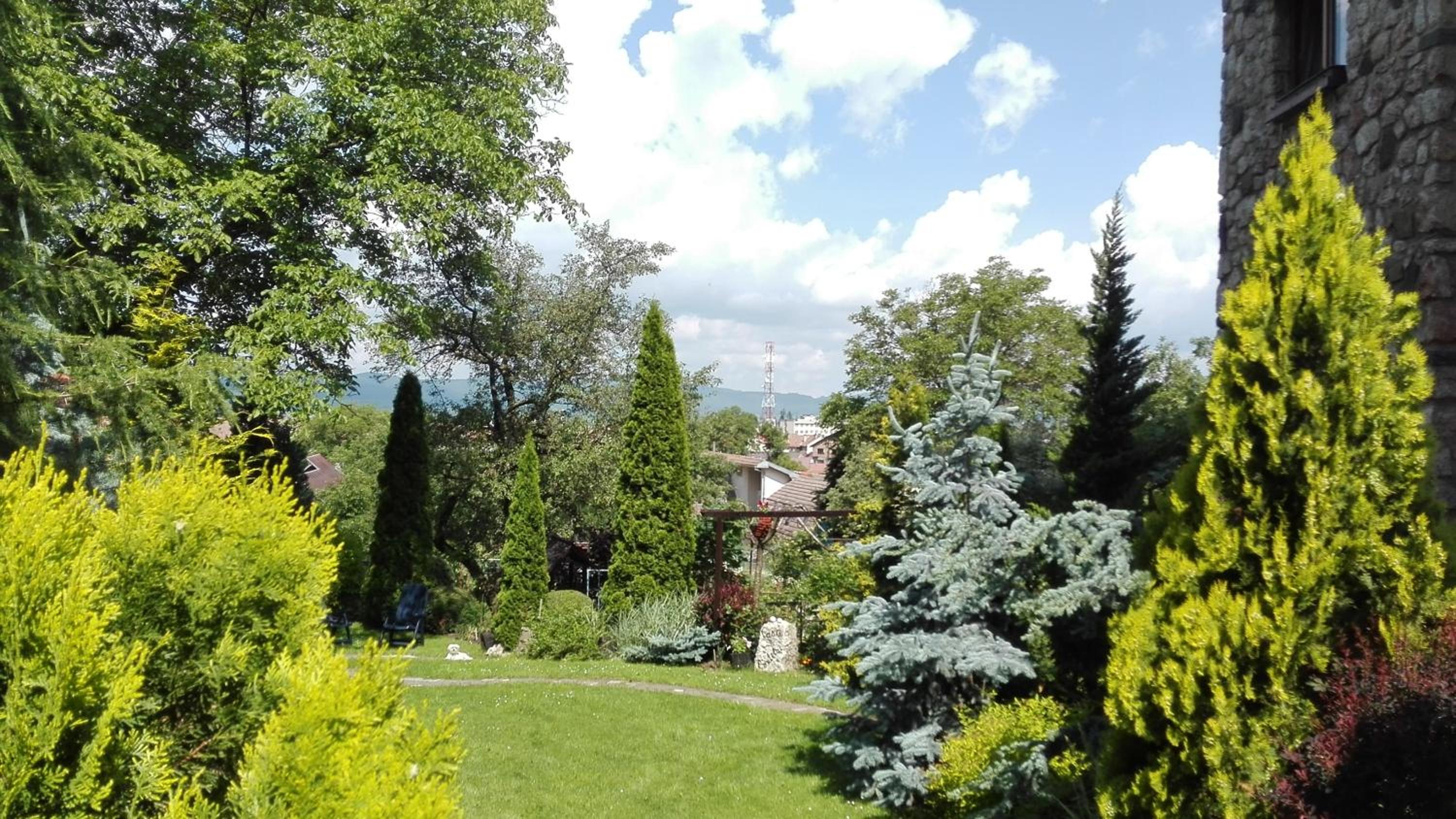 Photo 13