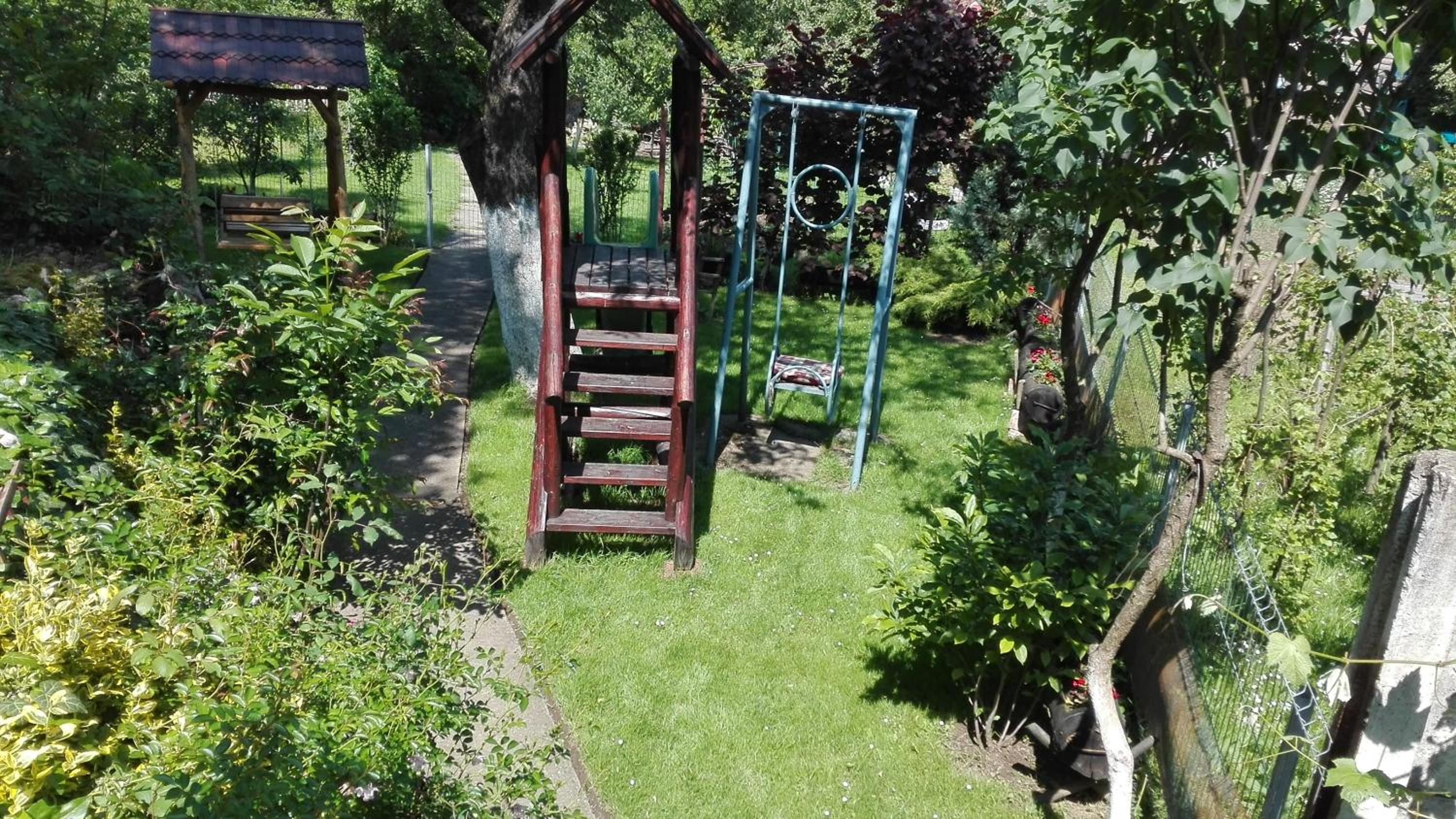 Photo 25