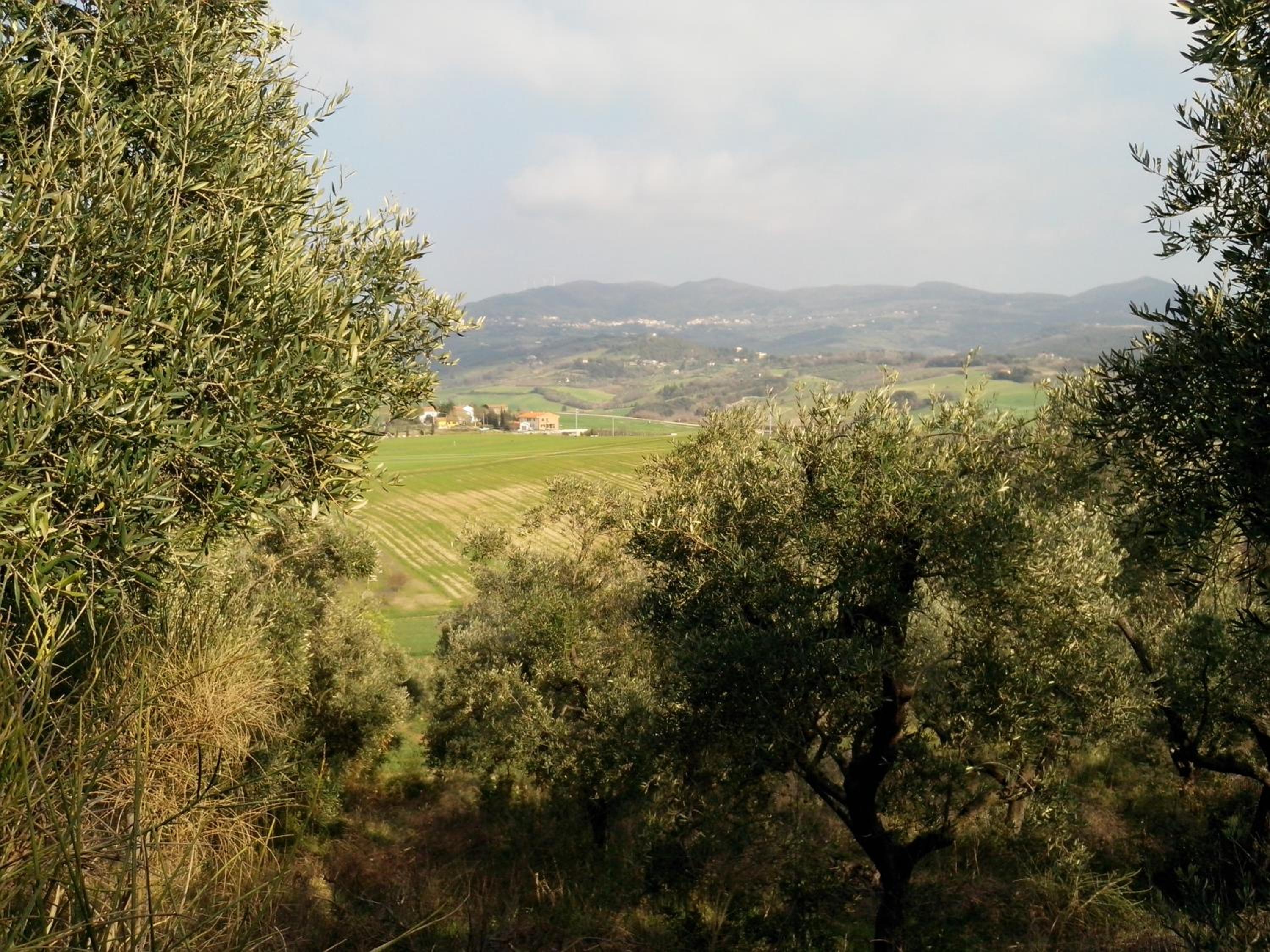 Photo 43