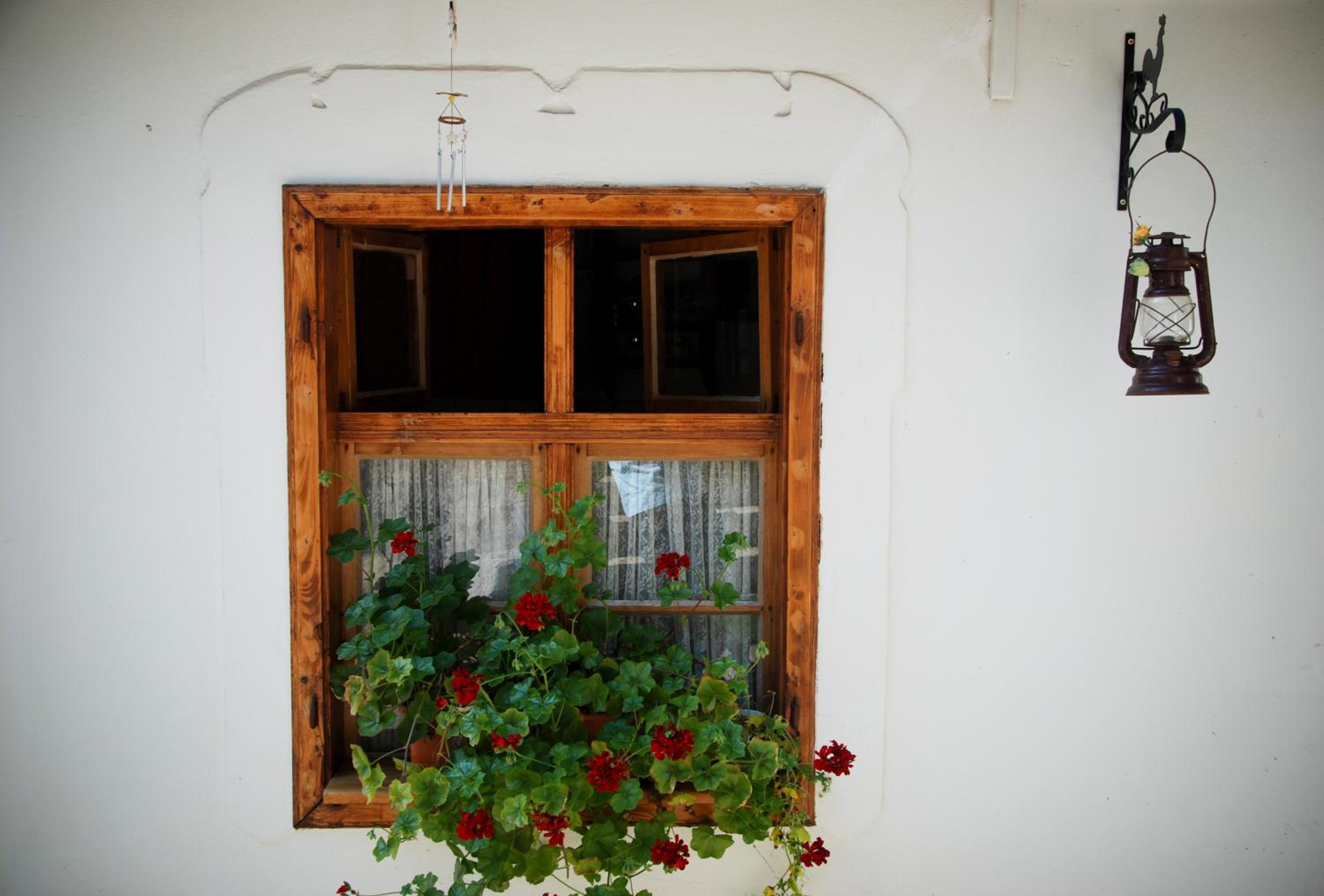 Casa Gross view 4