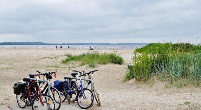 Strand en duinen 331 omheinde tuin
