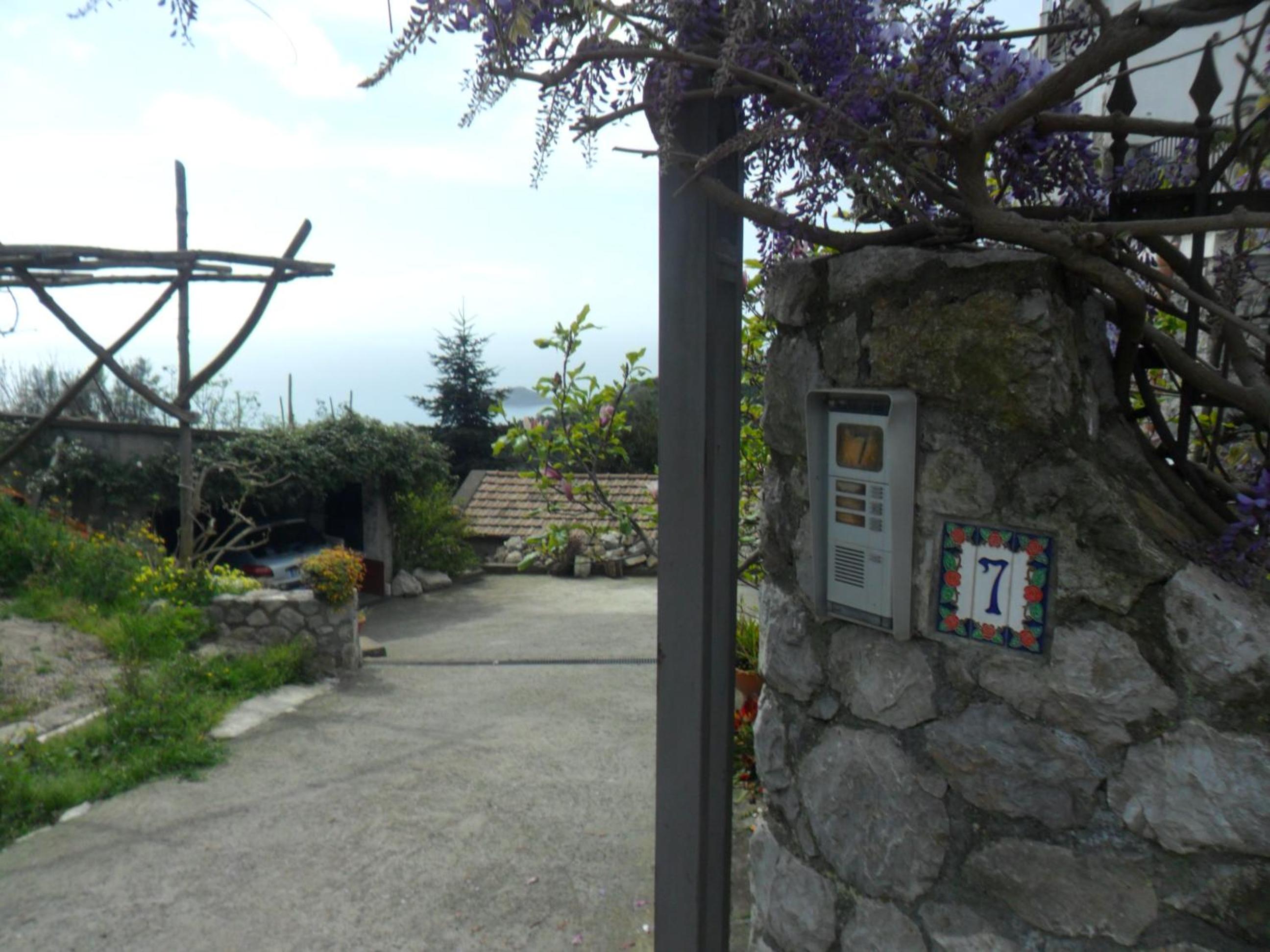 Photo 67