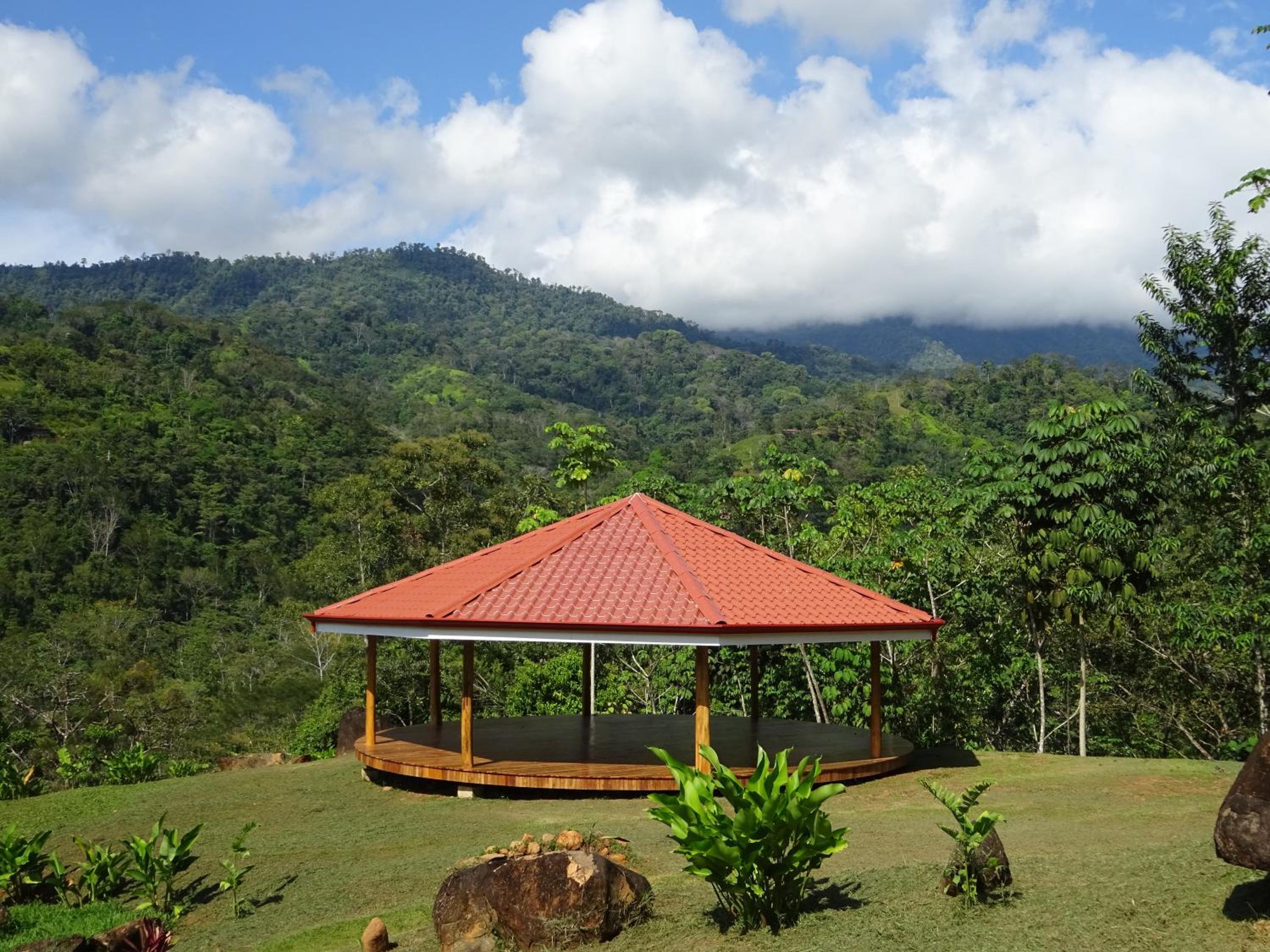 Manoas