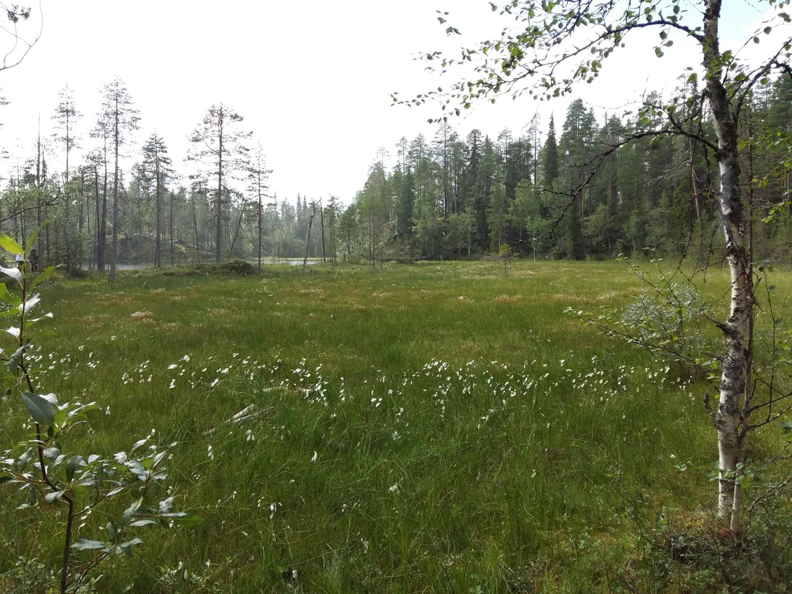 Photo 30