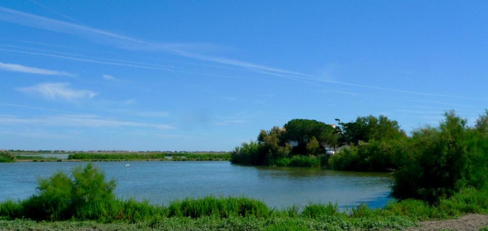 Mas des Cabidoules