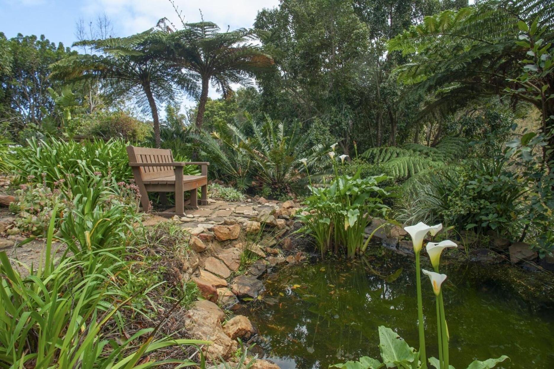 Leopard Lodge