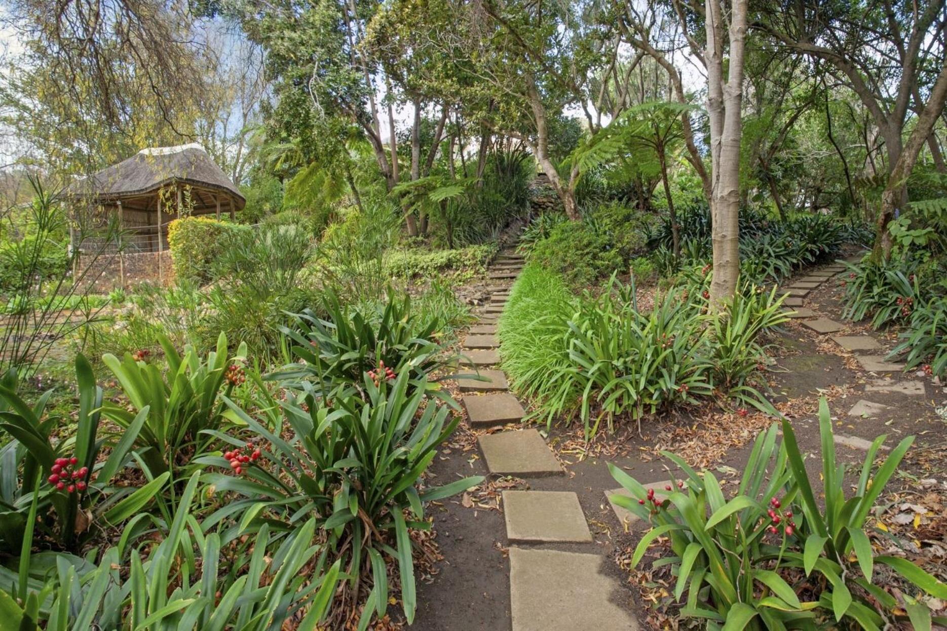 Leopard Lodge