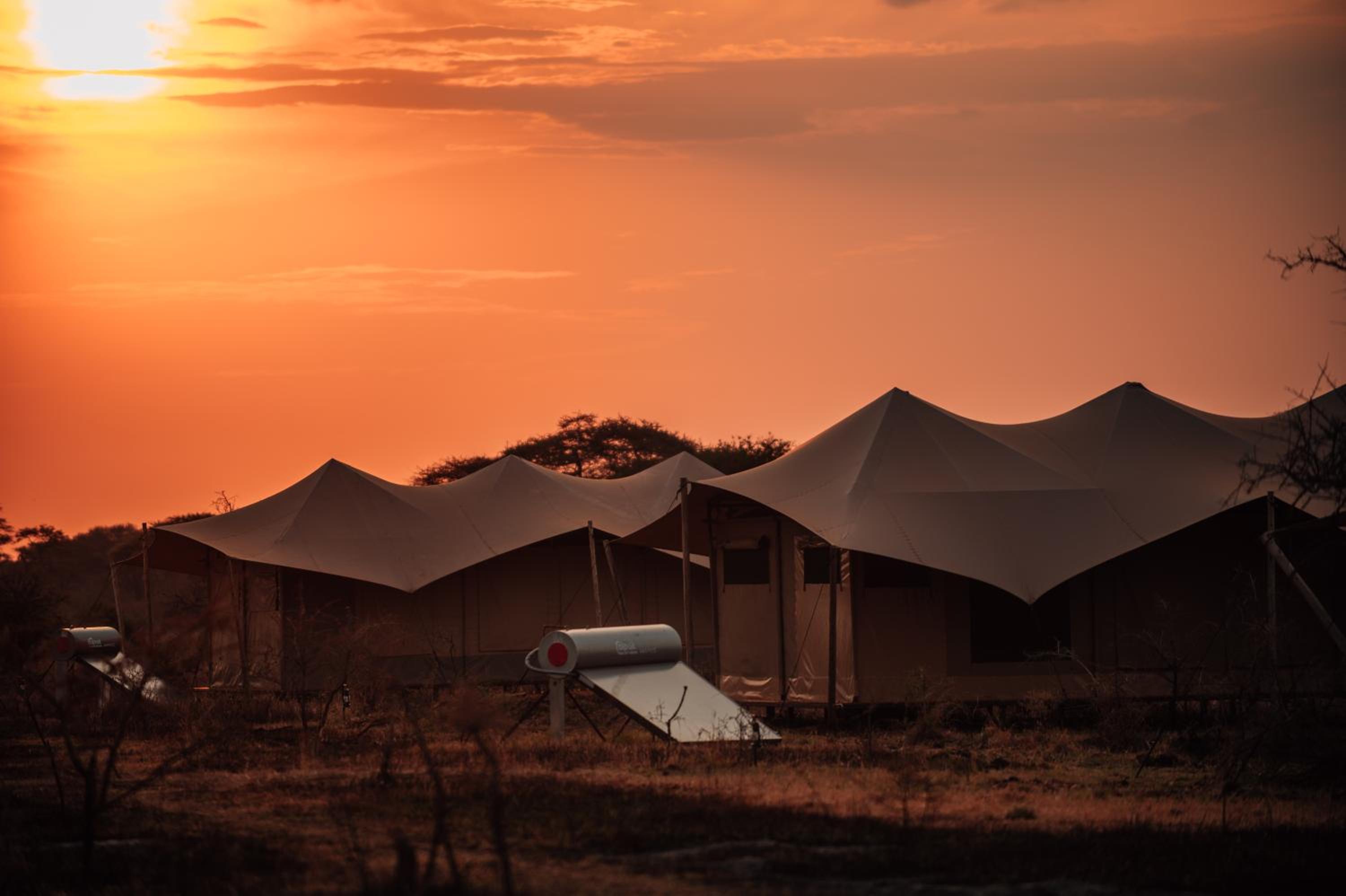 Pumba Luxury Camps Serengeti