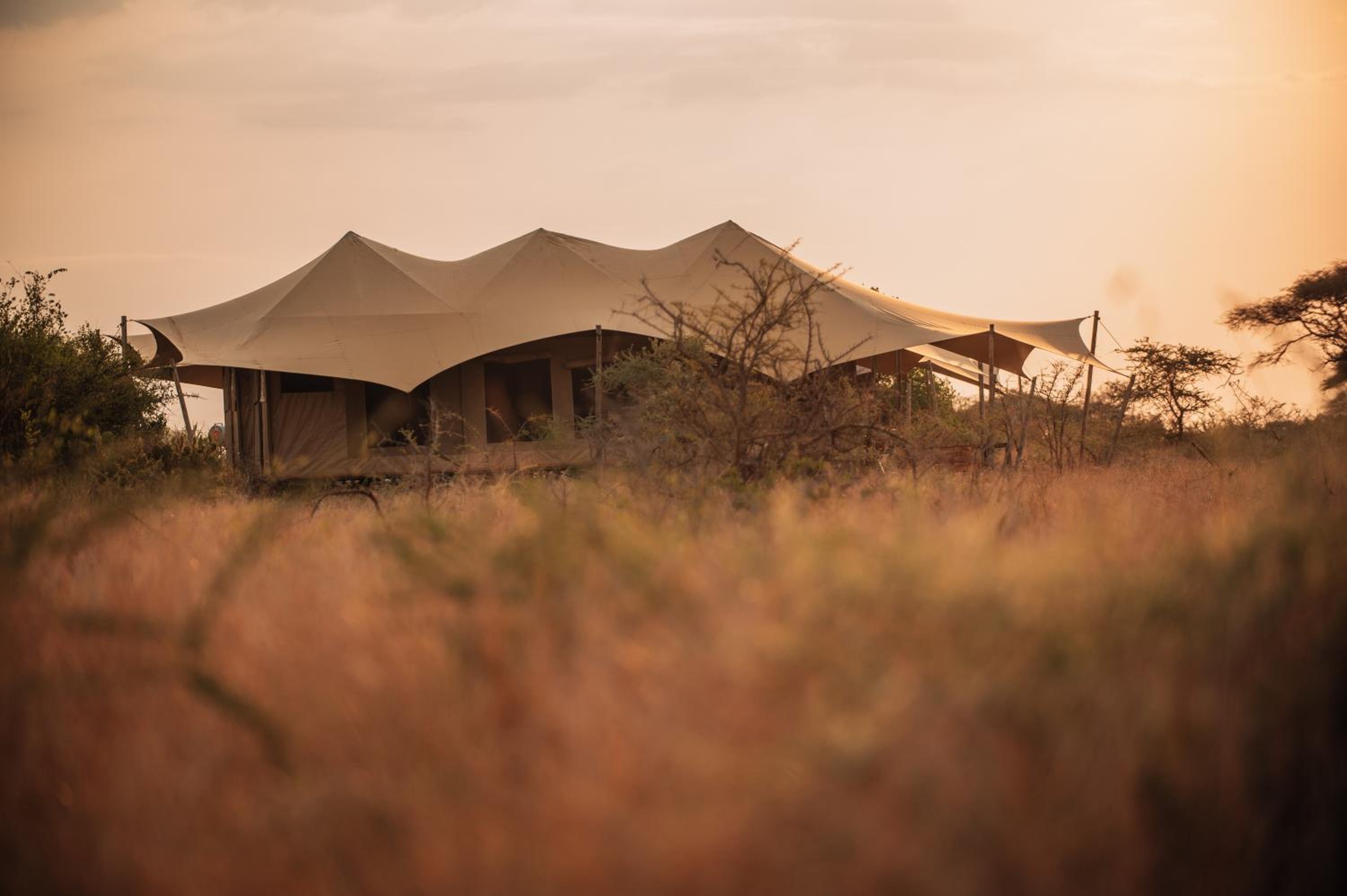 Pumba Luxury Camps Serengeti