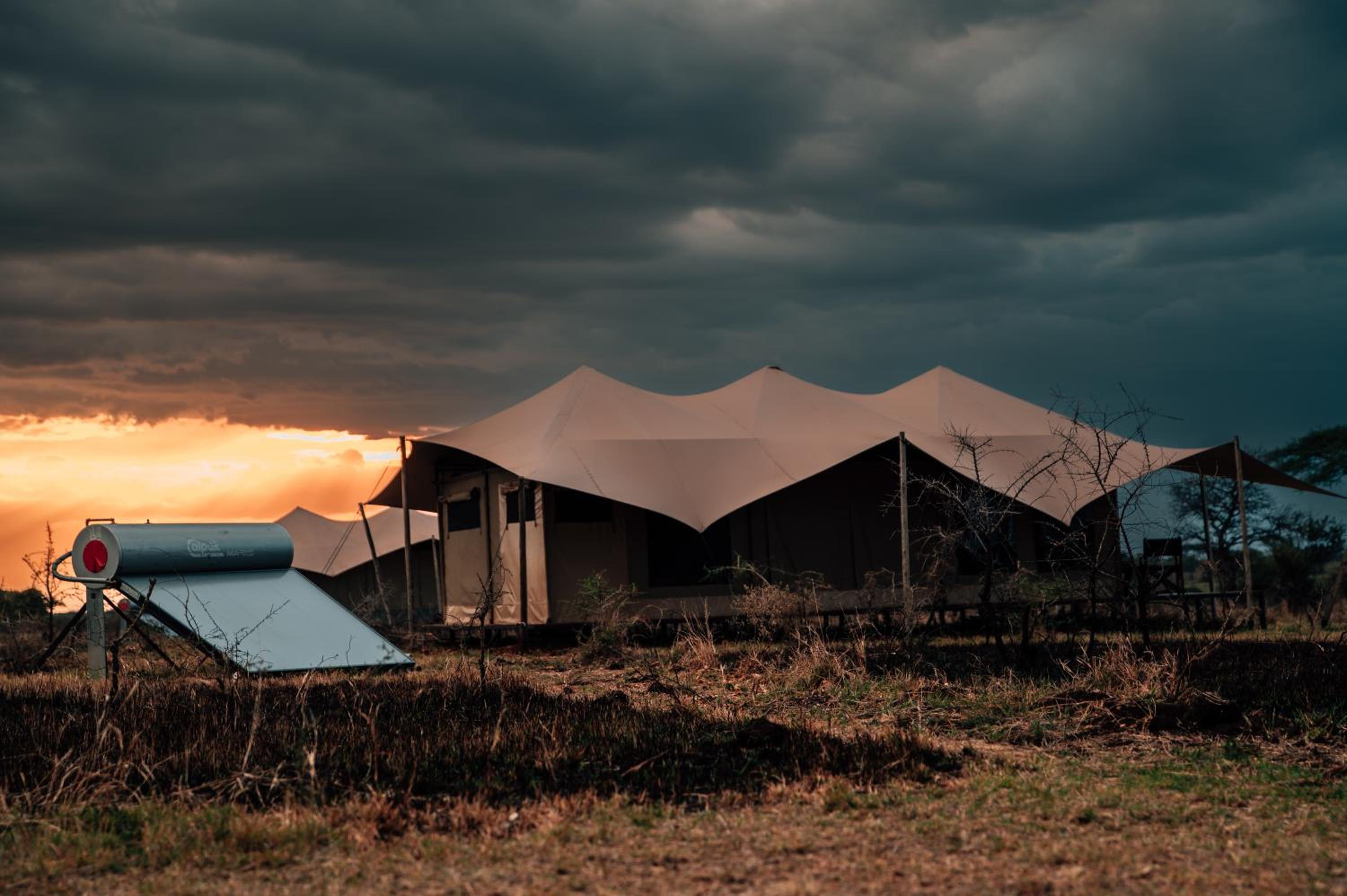 Pumba Luxury Camps Serengeti