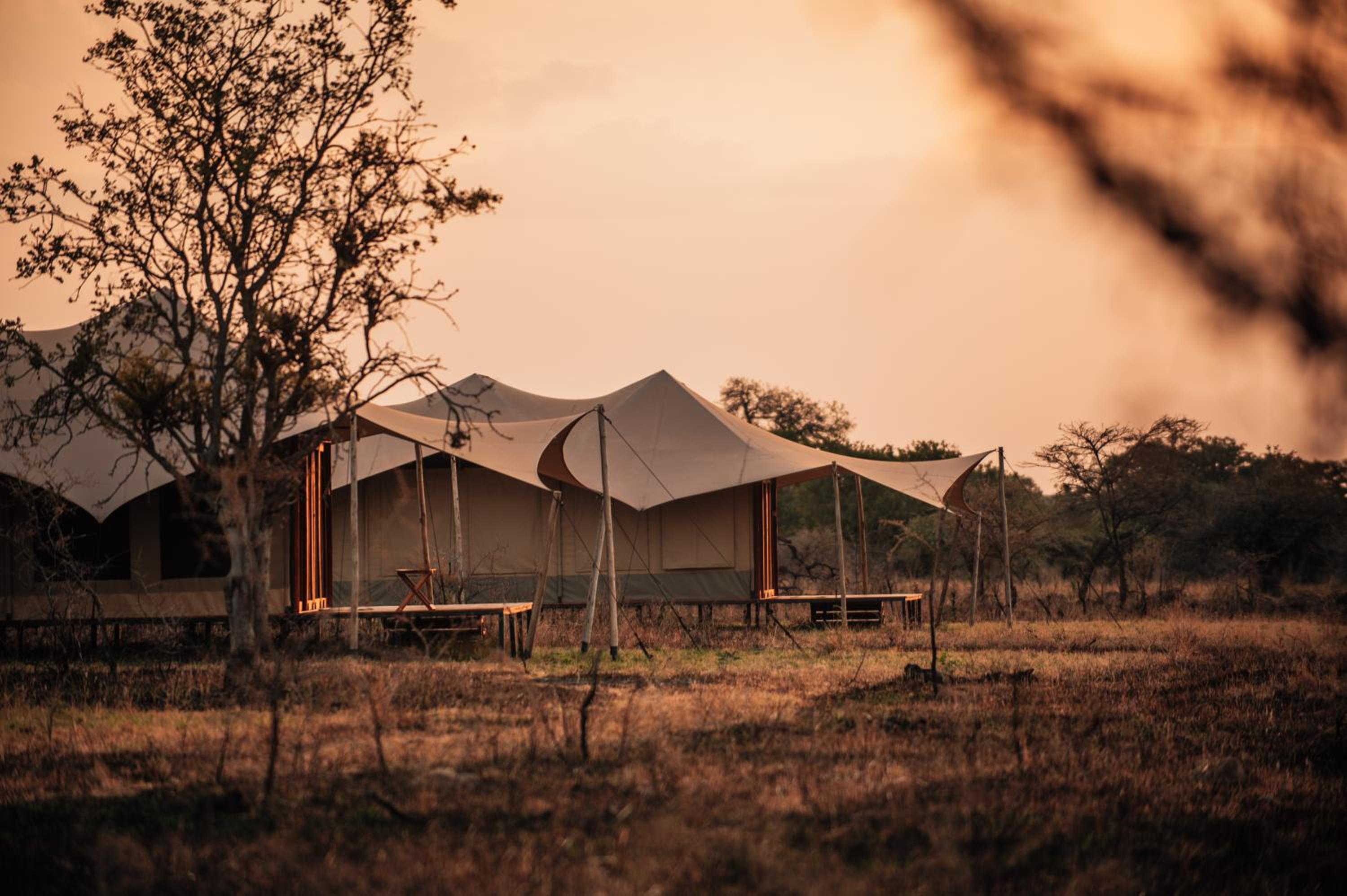 Pumba Luxury Camps Serengeti