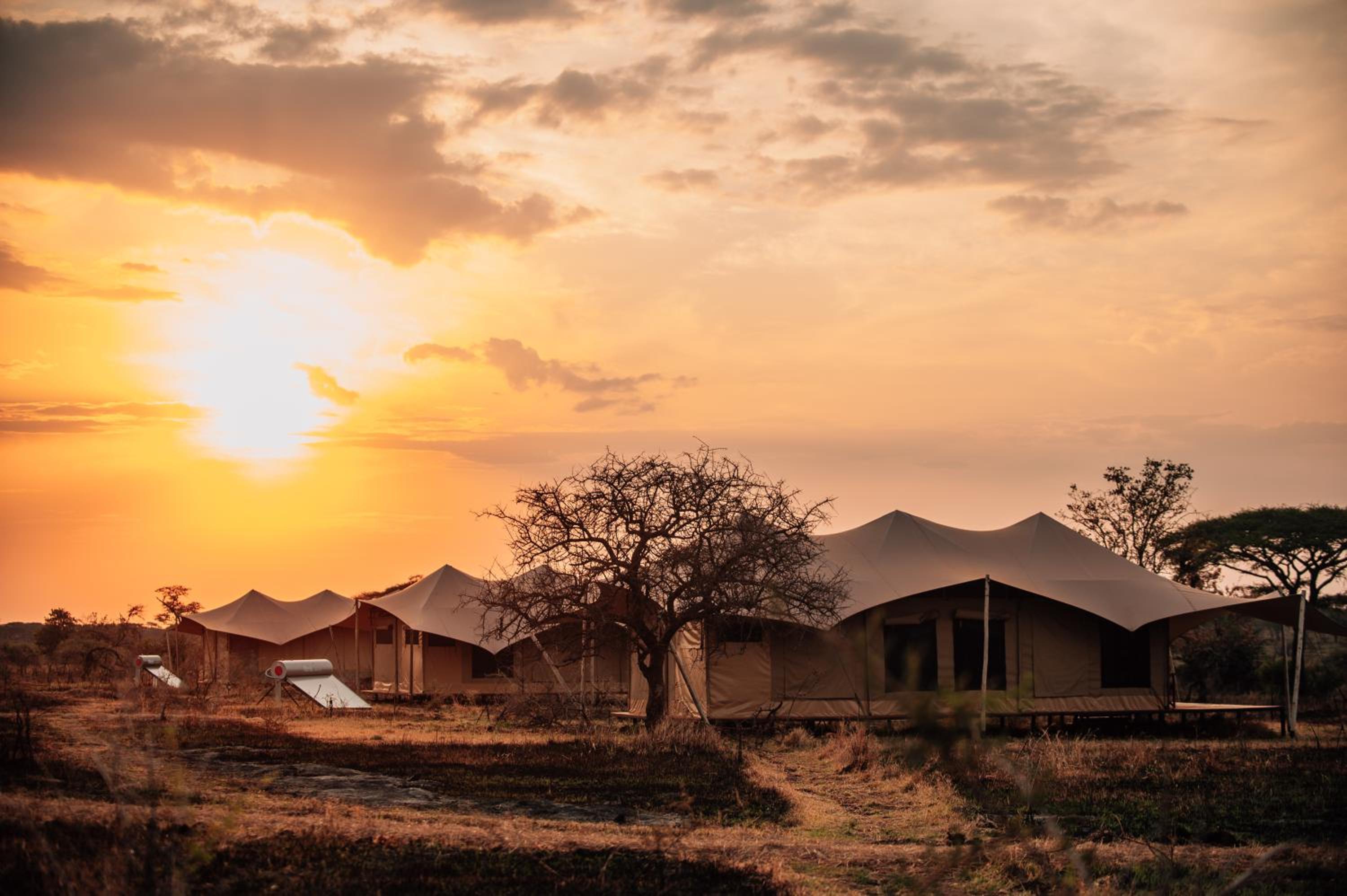 Pumba Luxury Camps Serengeti