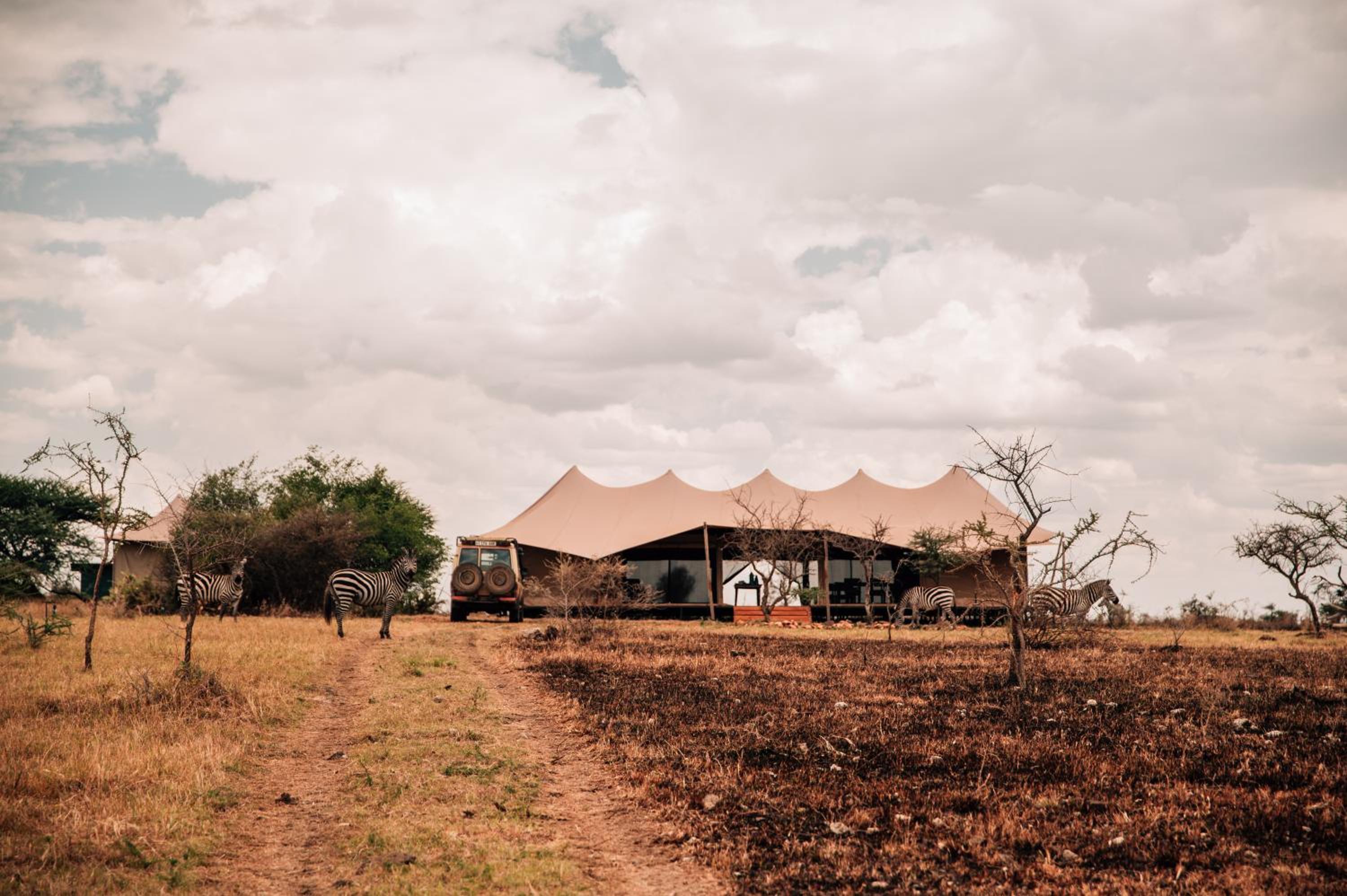 Pumba Luxury Camps Serengeti