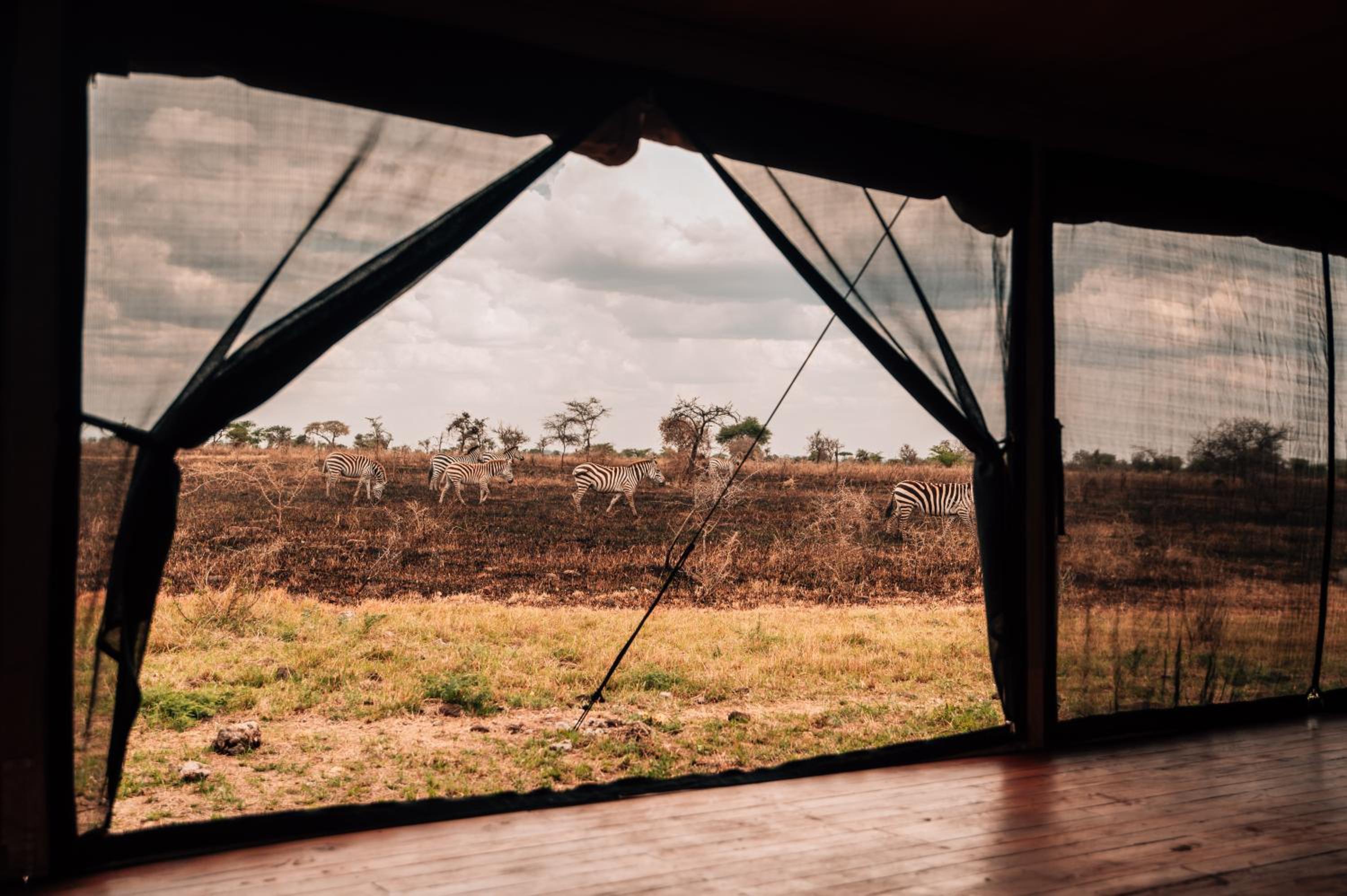 Pumba Luxury Camps Serengeti