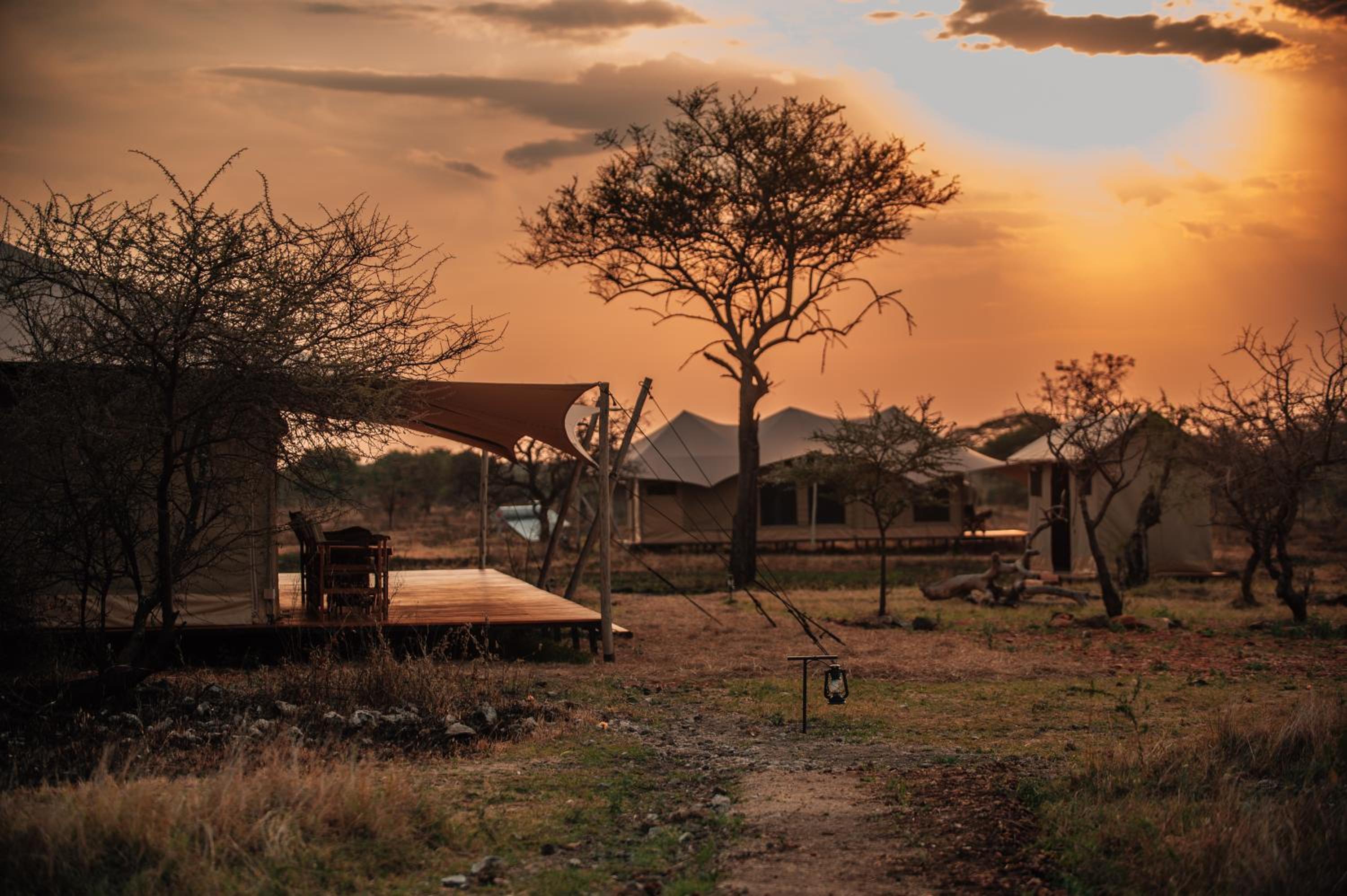 Pumba Luxury Camps Serengeti