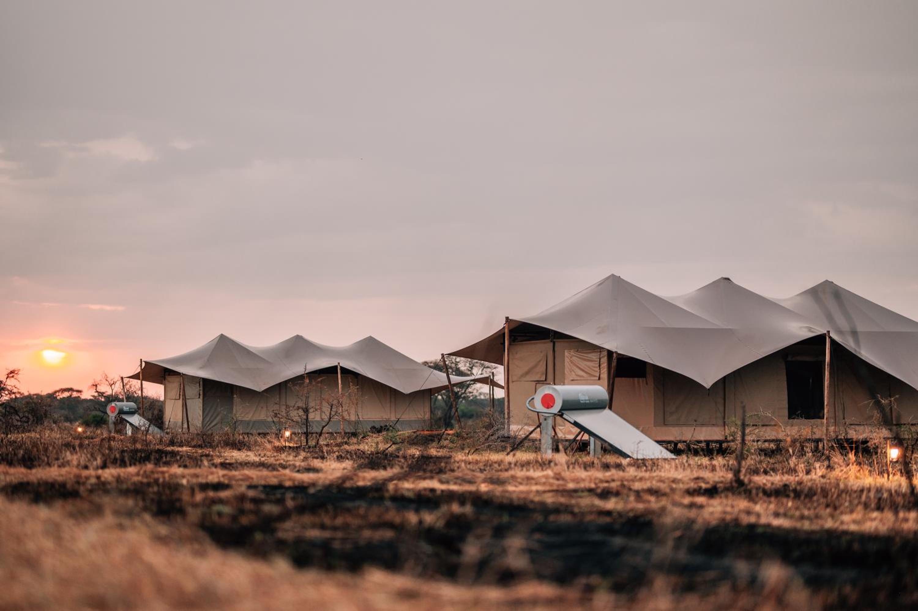 Pumba Luxury Camps Serengeti