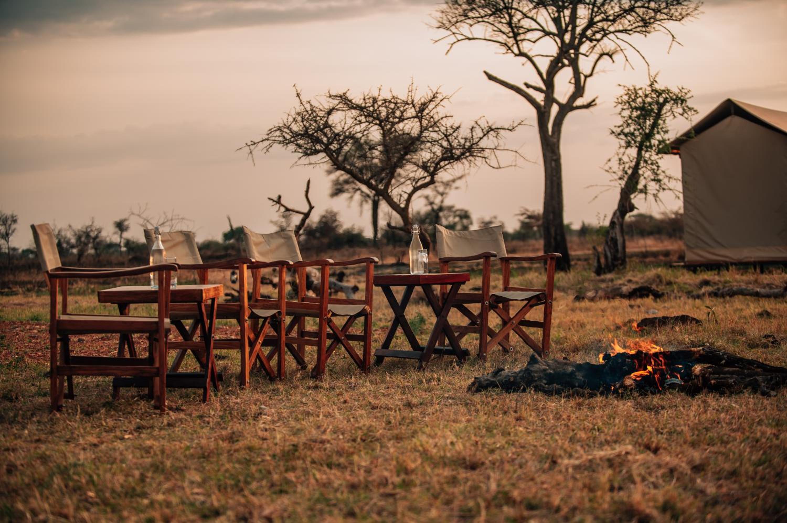 Pumba Luxury Camps Serengeti