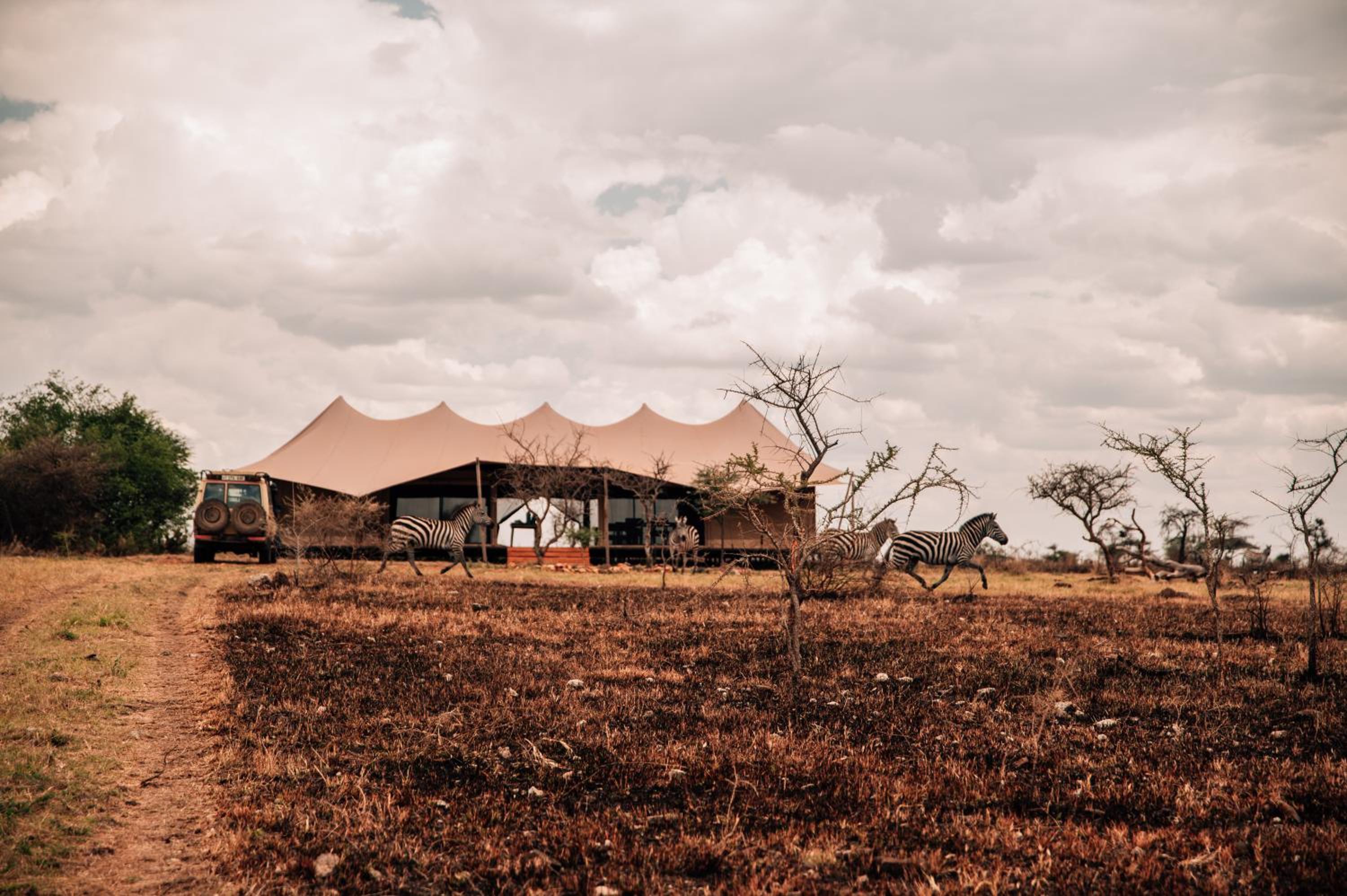 Pumba Luxury Camps Serengeti