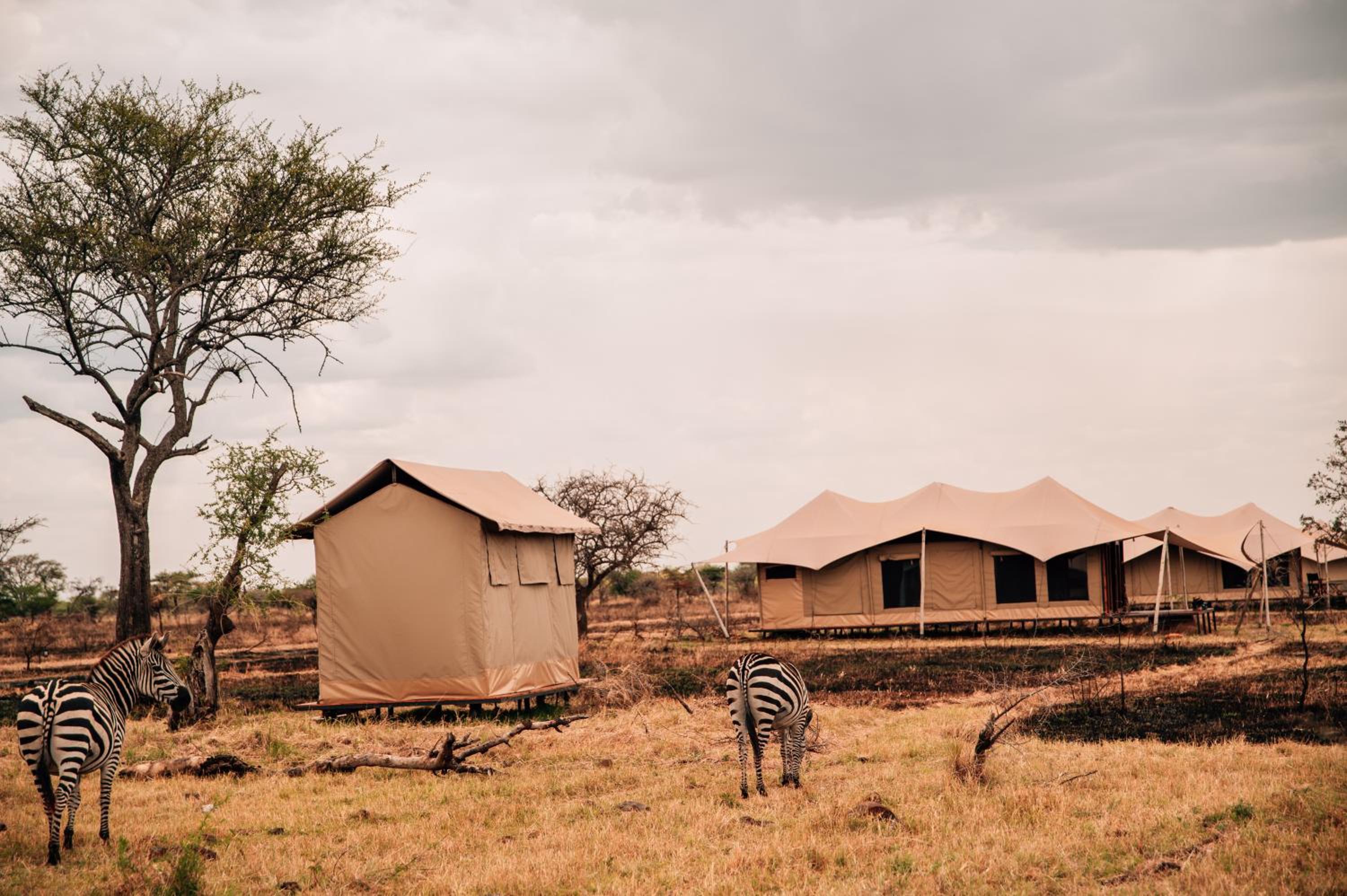 Pumba Luxury Camps Serengeti