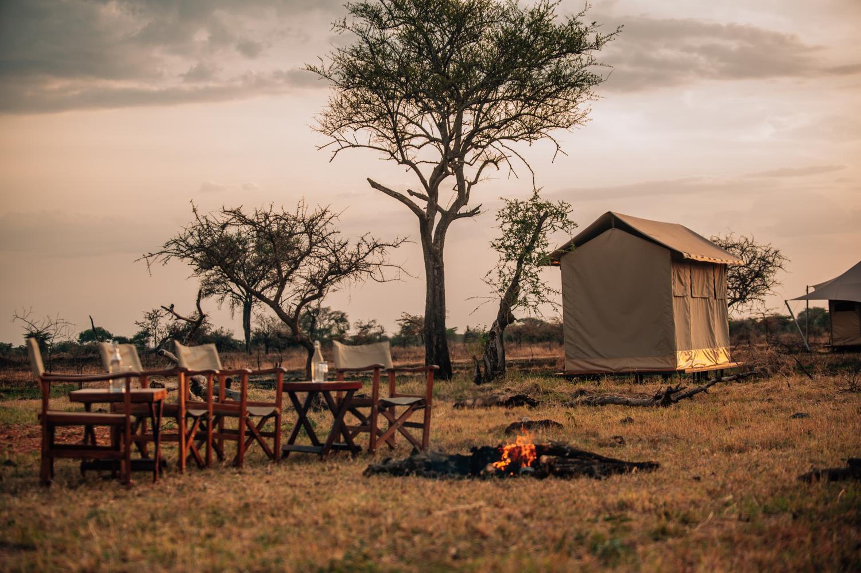 Pumba Luxury Camps Serengeti