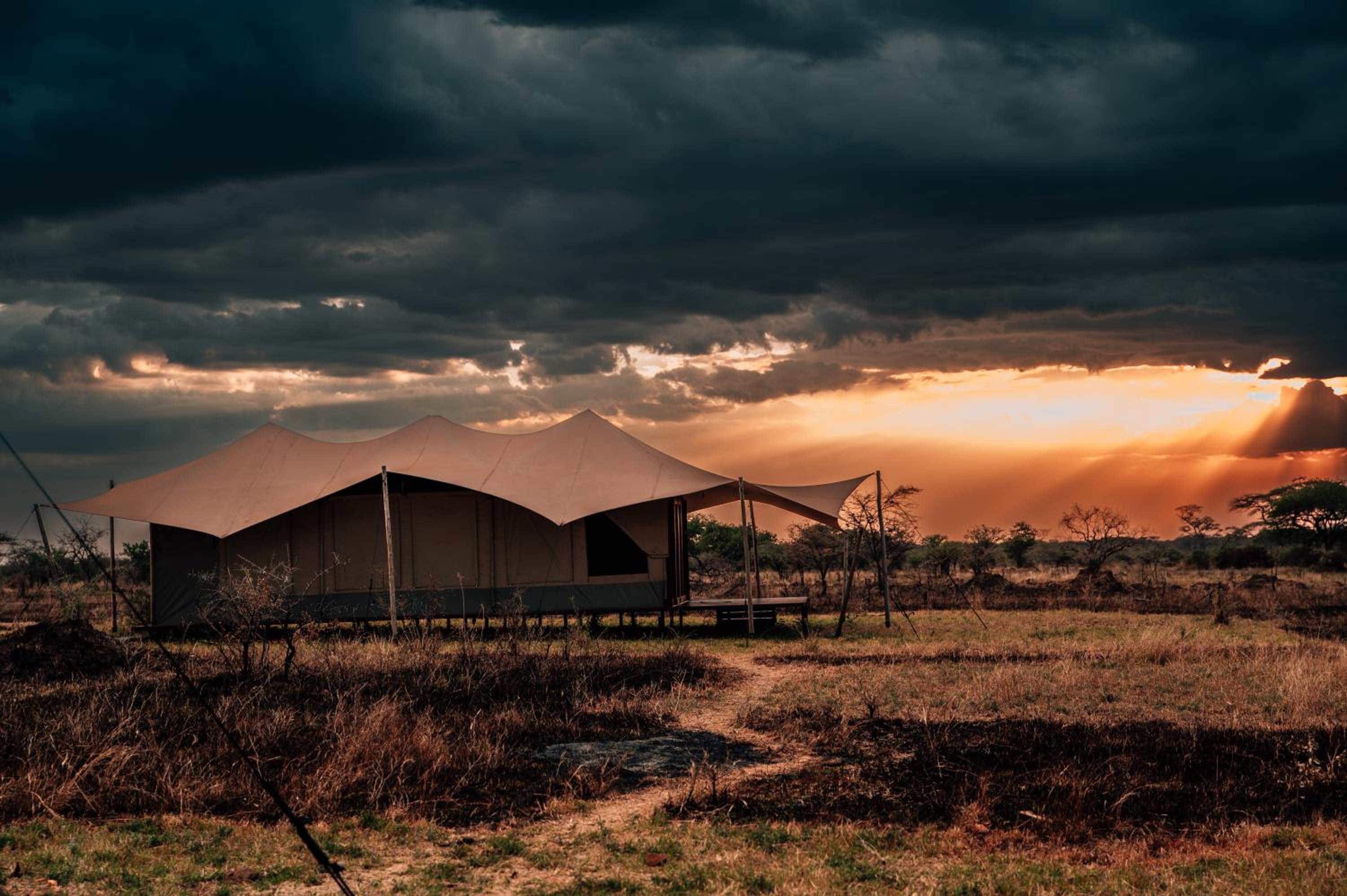 Pumba Luxury Camps Serengeti