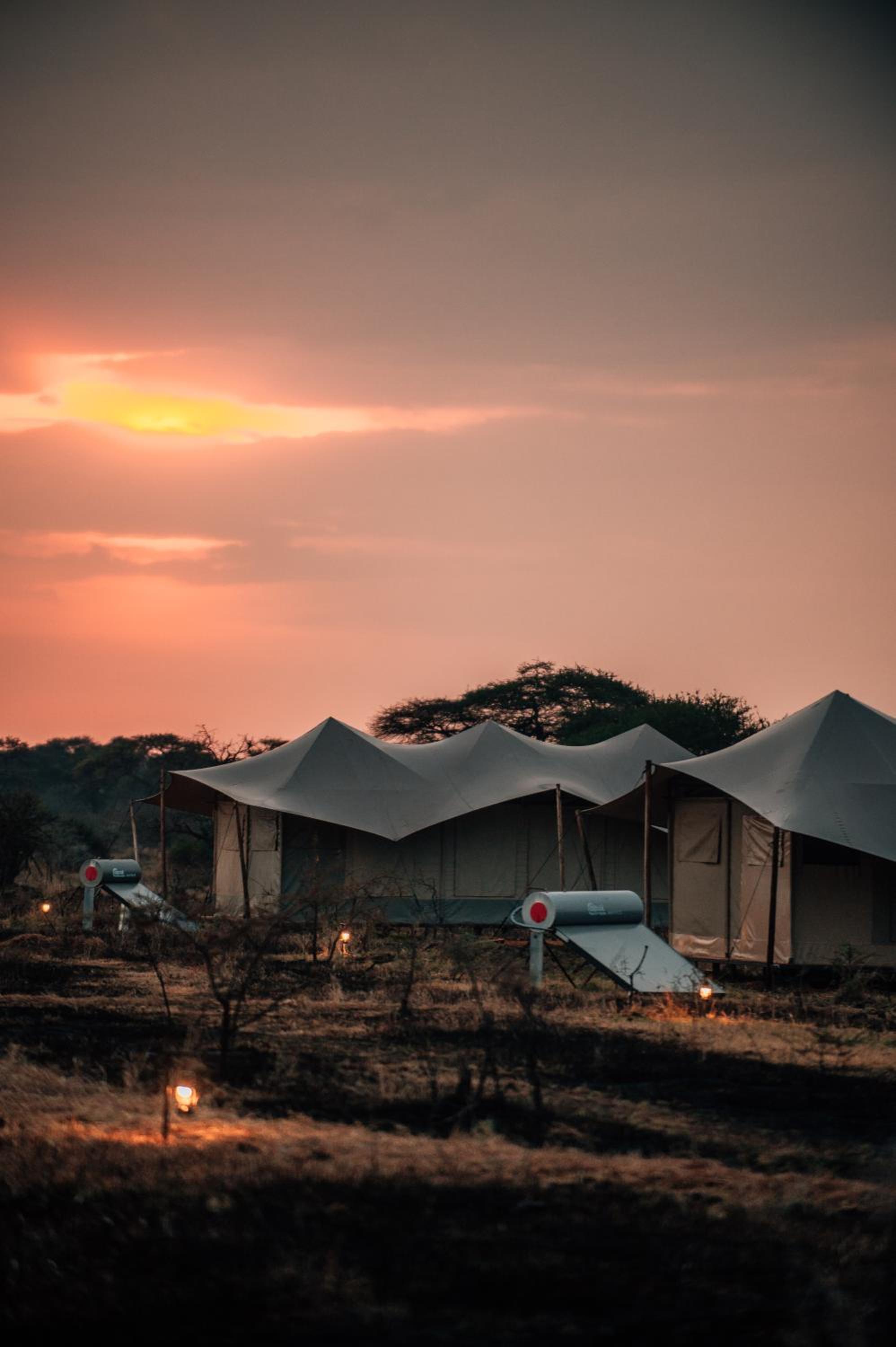 Pumba Luxury Camps Serengeti
