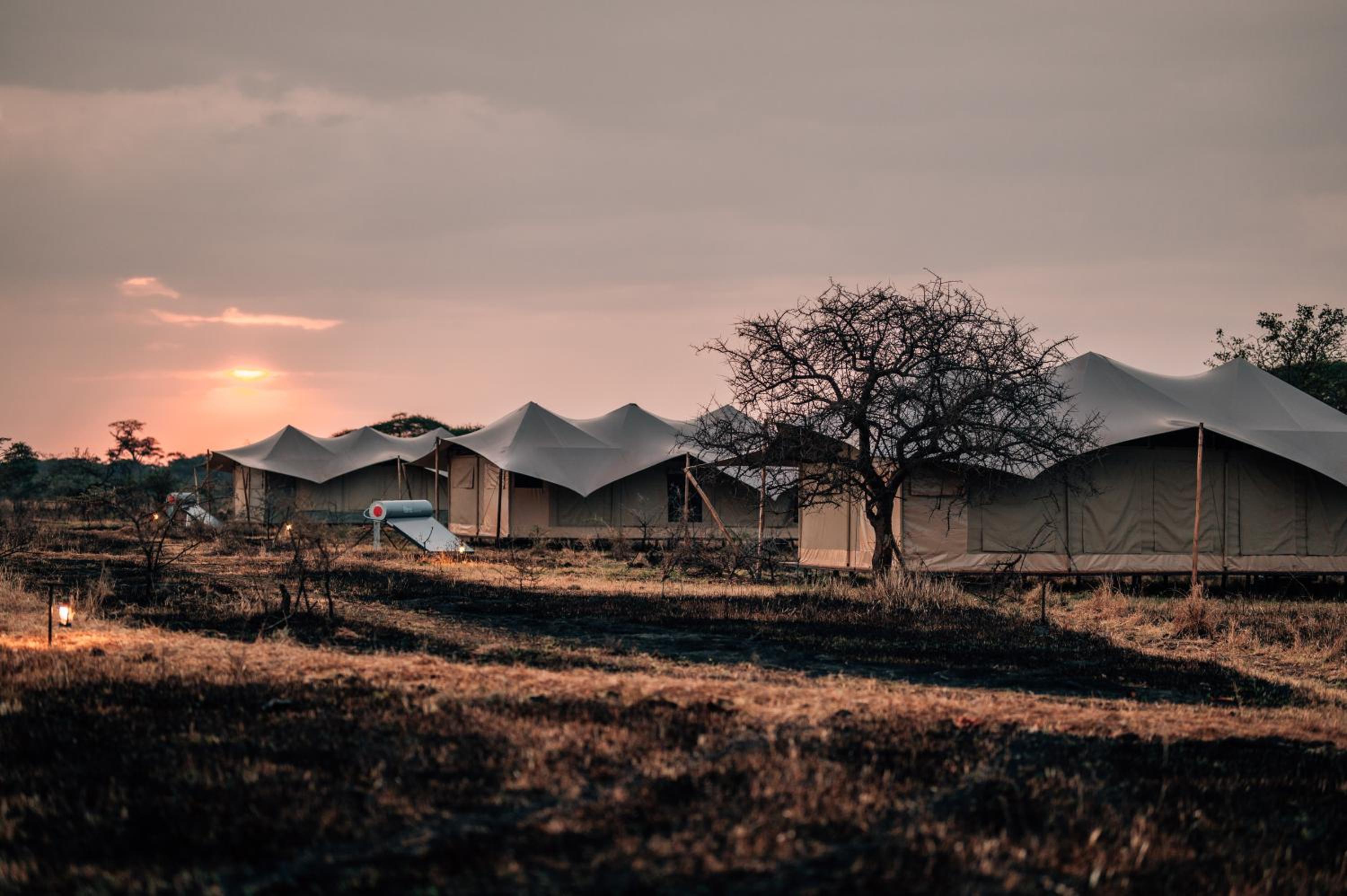 Pumba Luxury Camps Serengeti