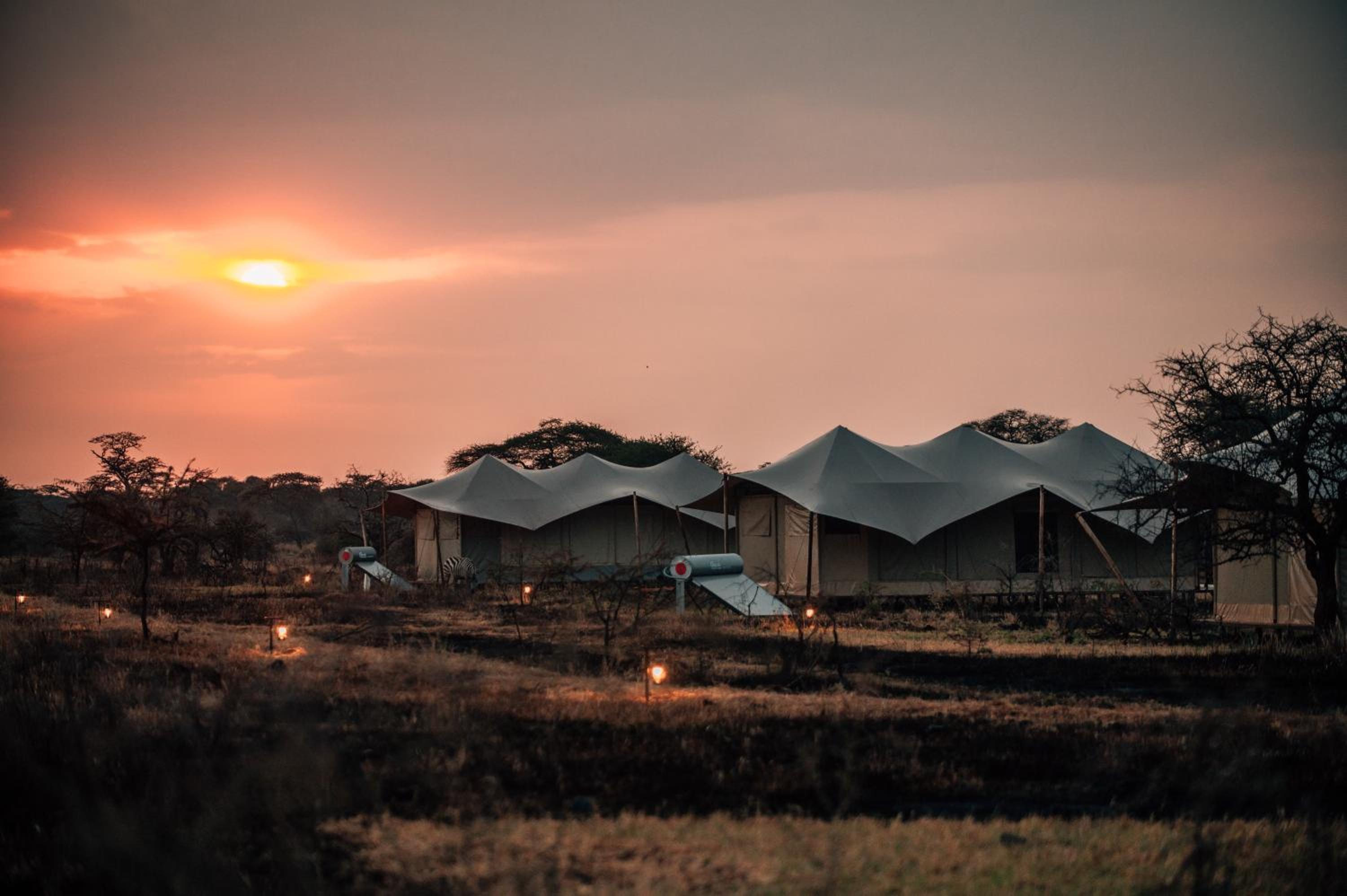 Pumba Luxury Camps Serengeti