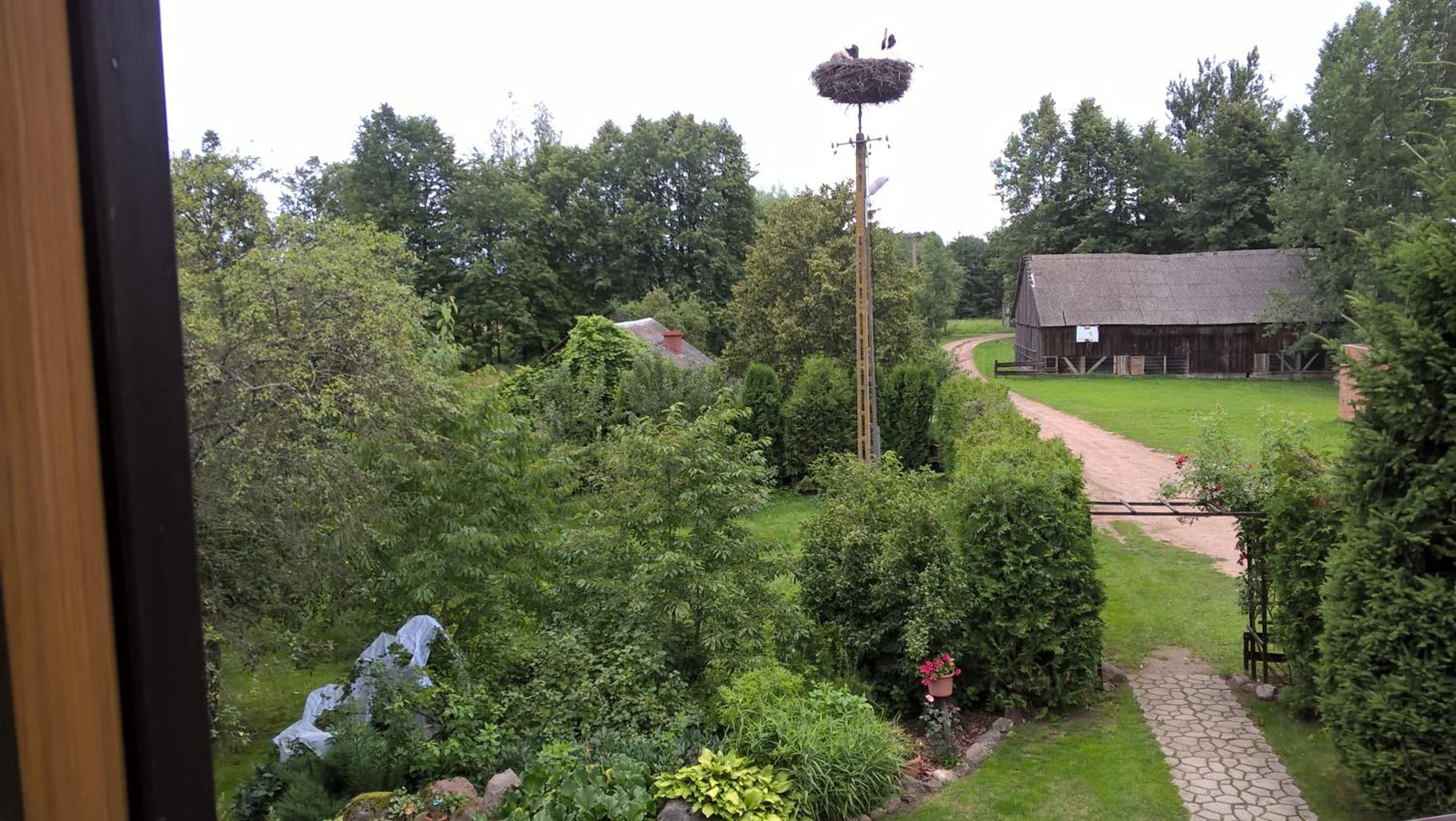 Dom Gościnny Woleninowo view 4