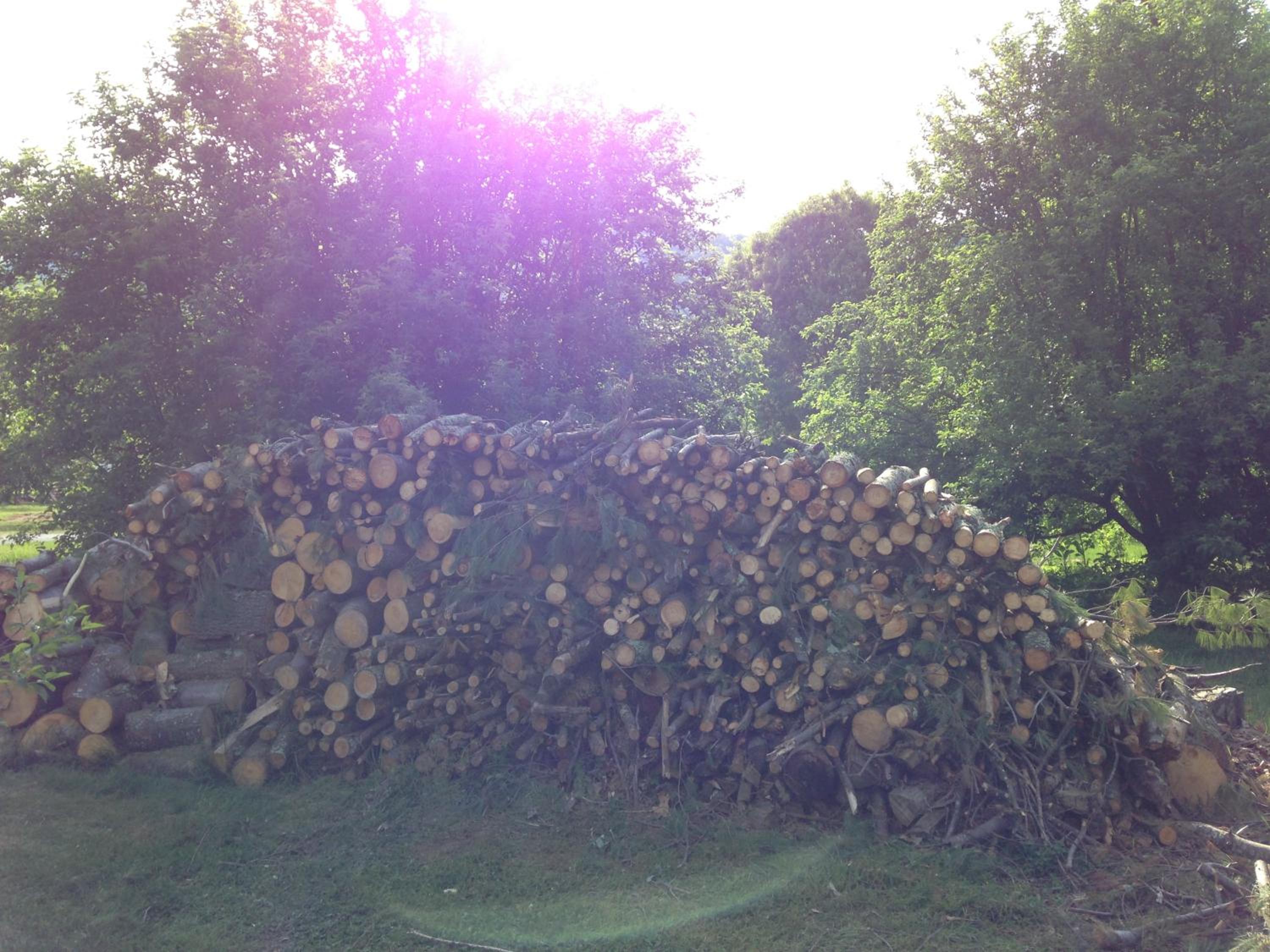 Photo 19