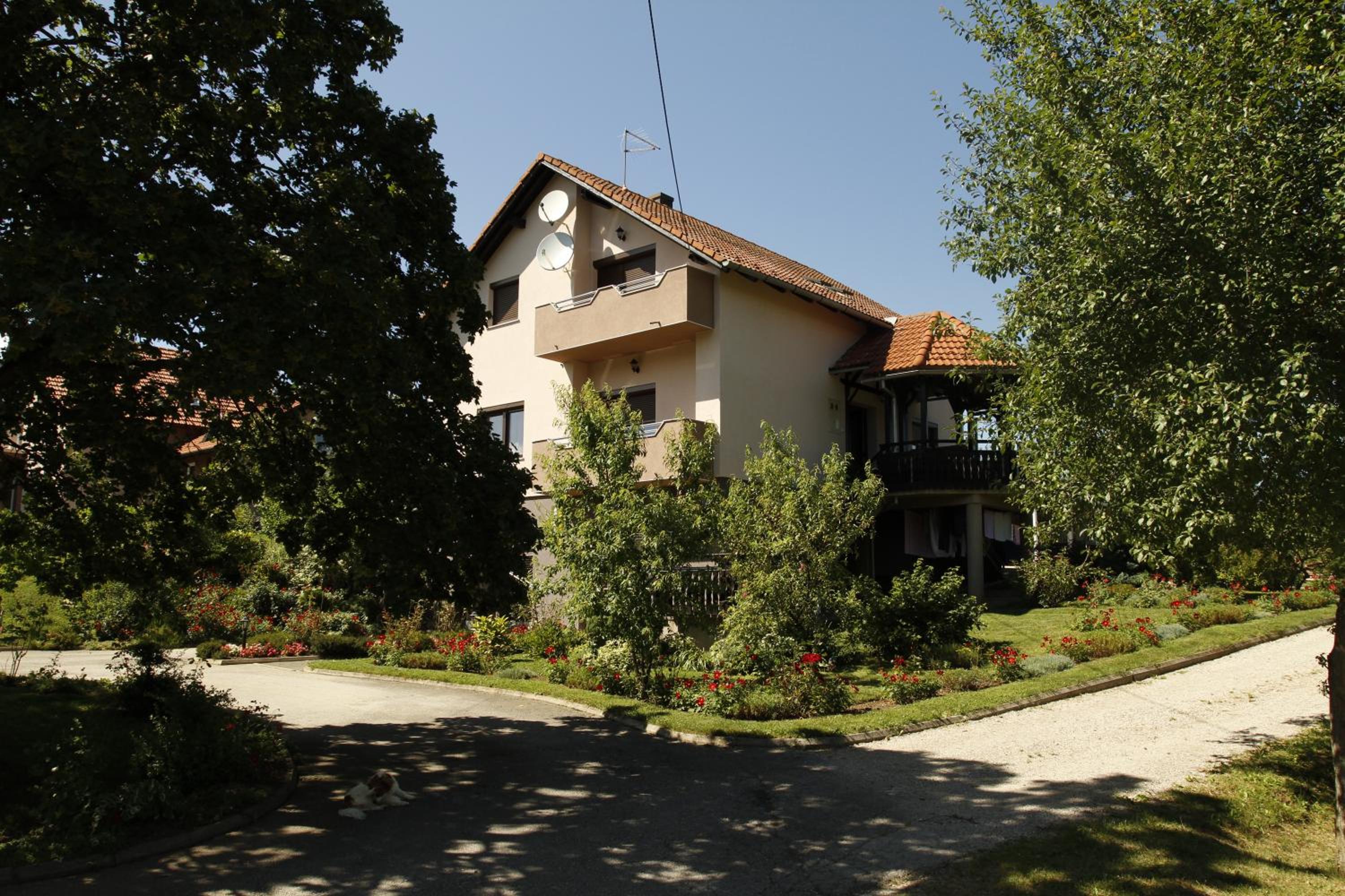 Photo 23