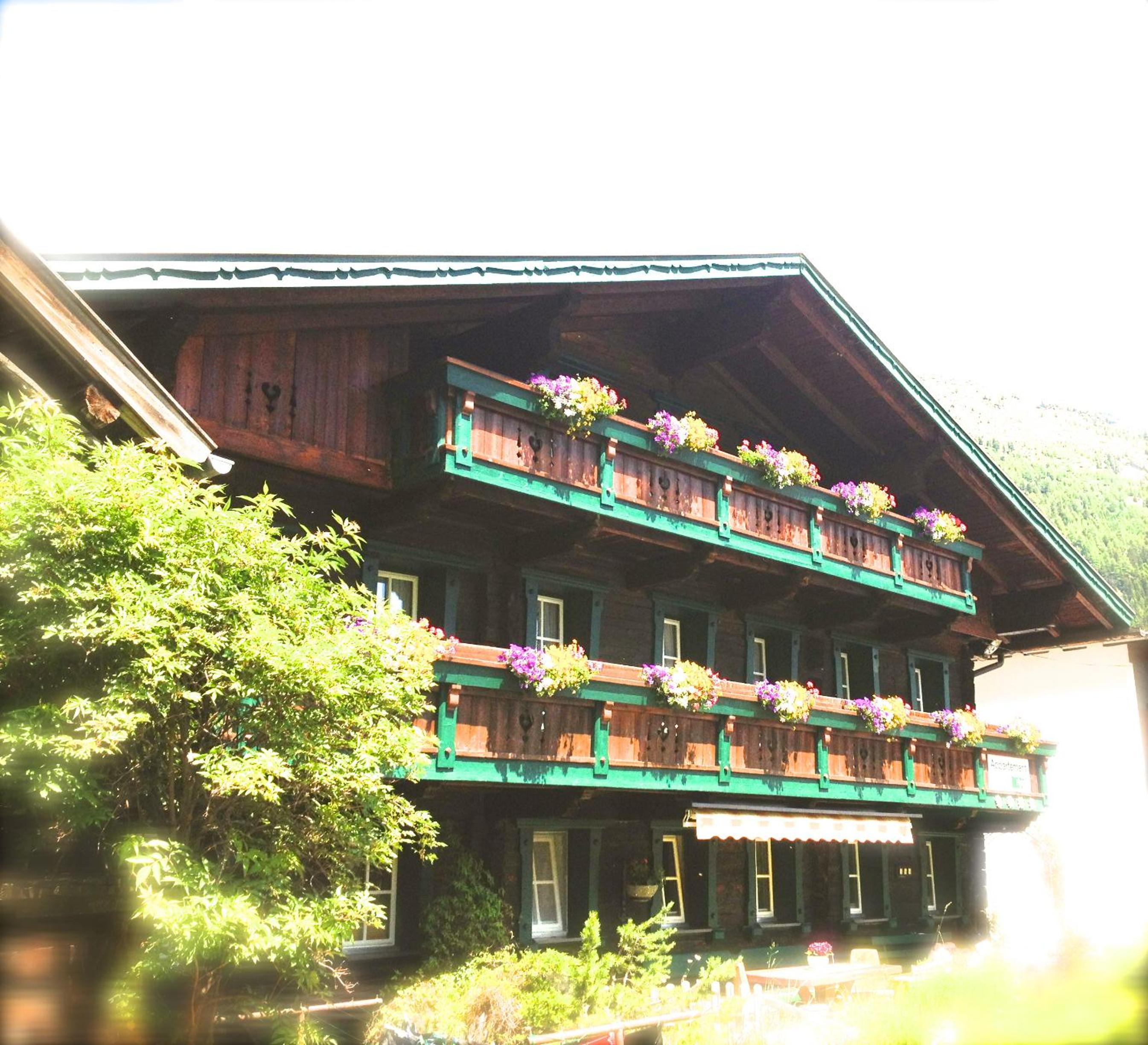 Photo 43