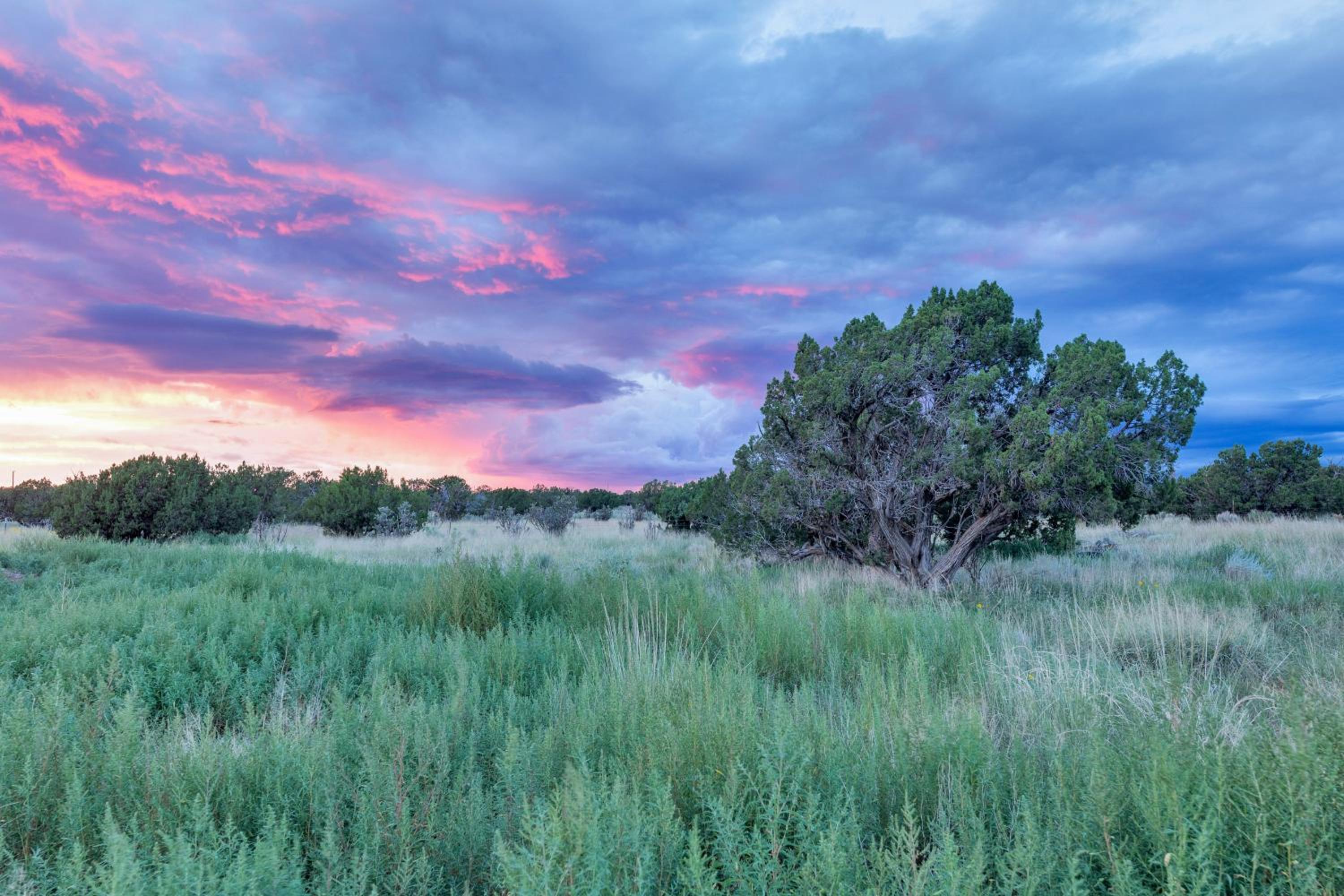 Starry Sky and Serene Setting Rural New Mexico Gem