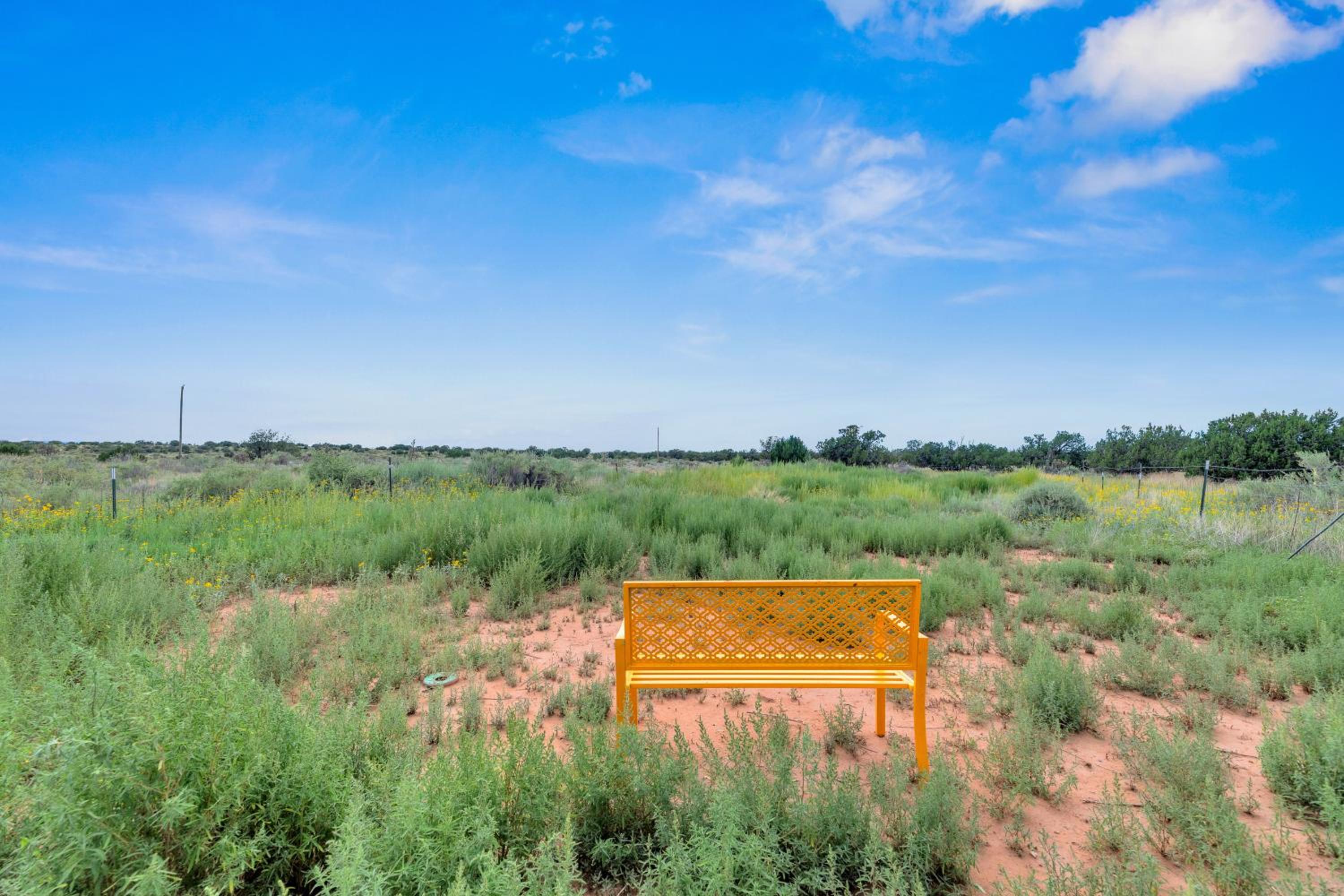 Starry Sky and Serene Setting Rural New Mexico Gem