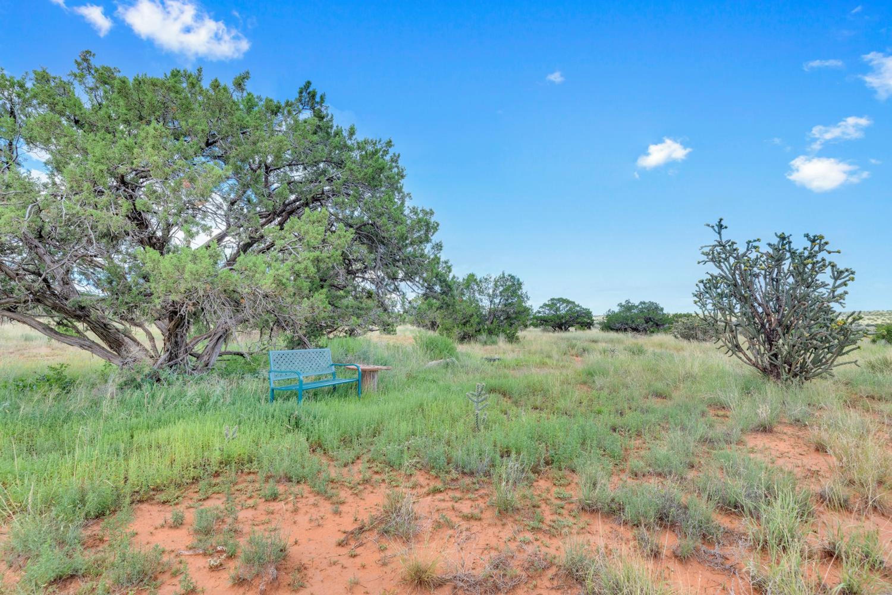 Starry Sky and Serene Setting Rural New Mexico Gem