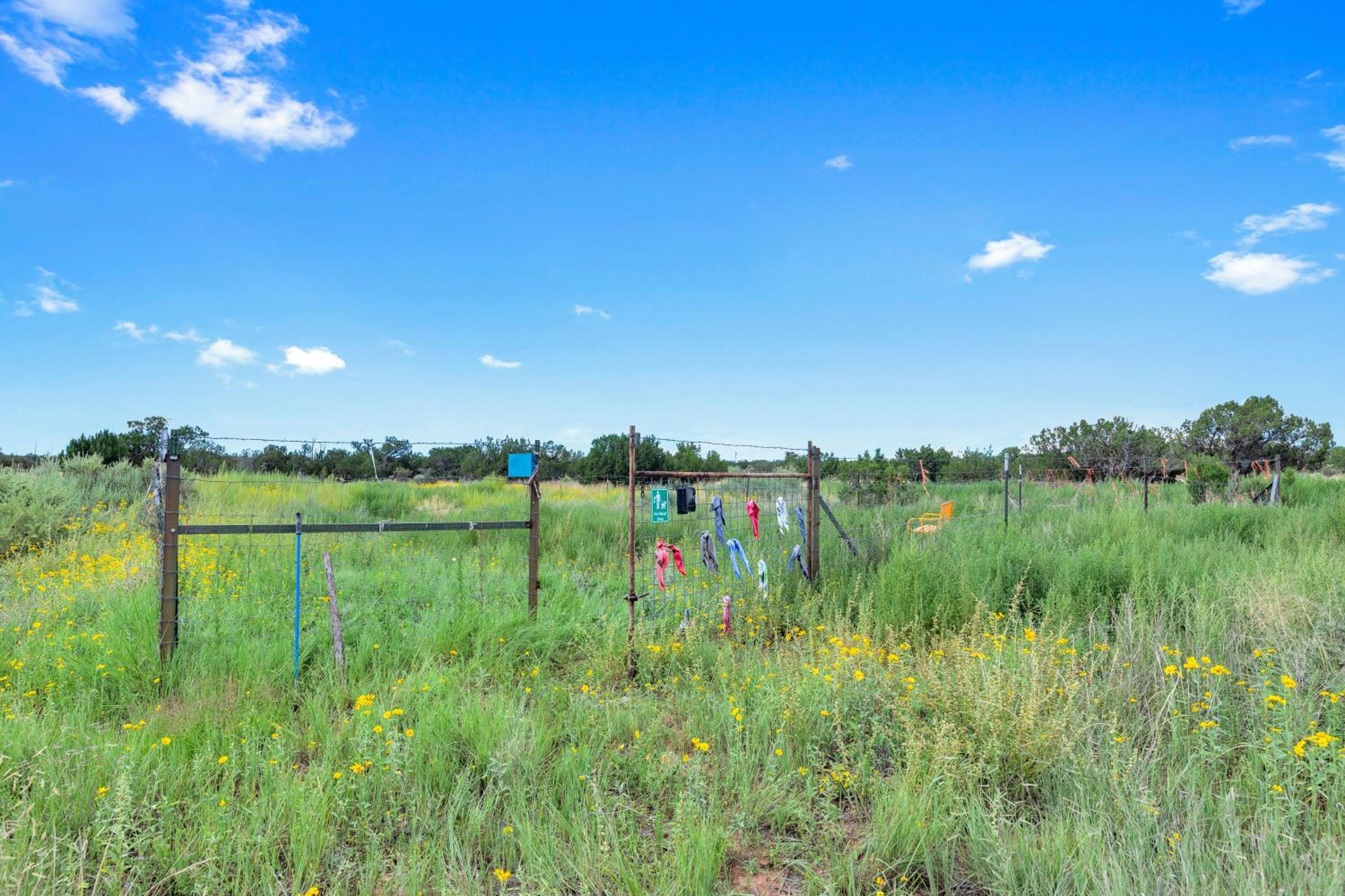 Starry Sky and Serene Setting Rural New Mexico Gem