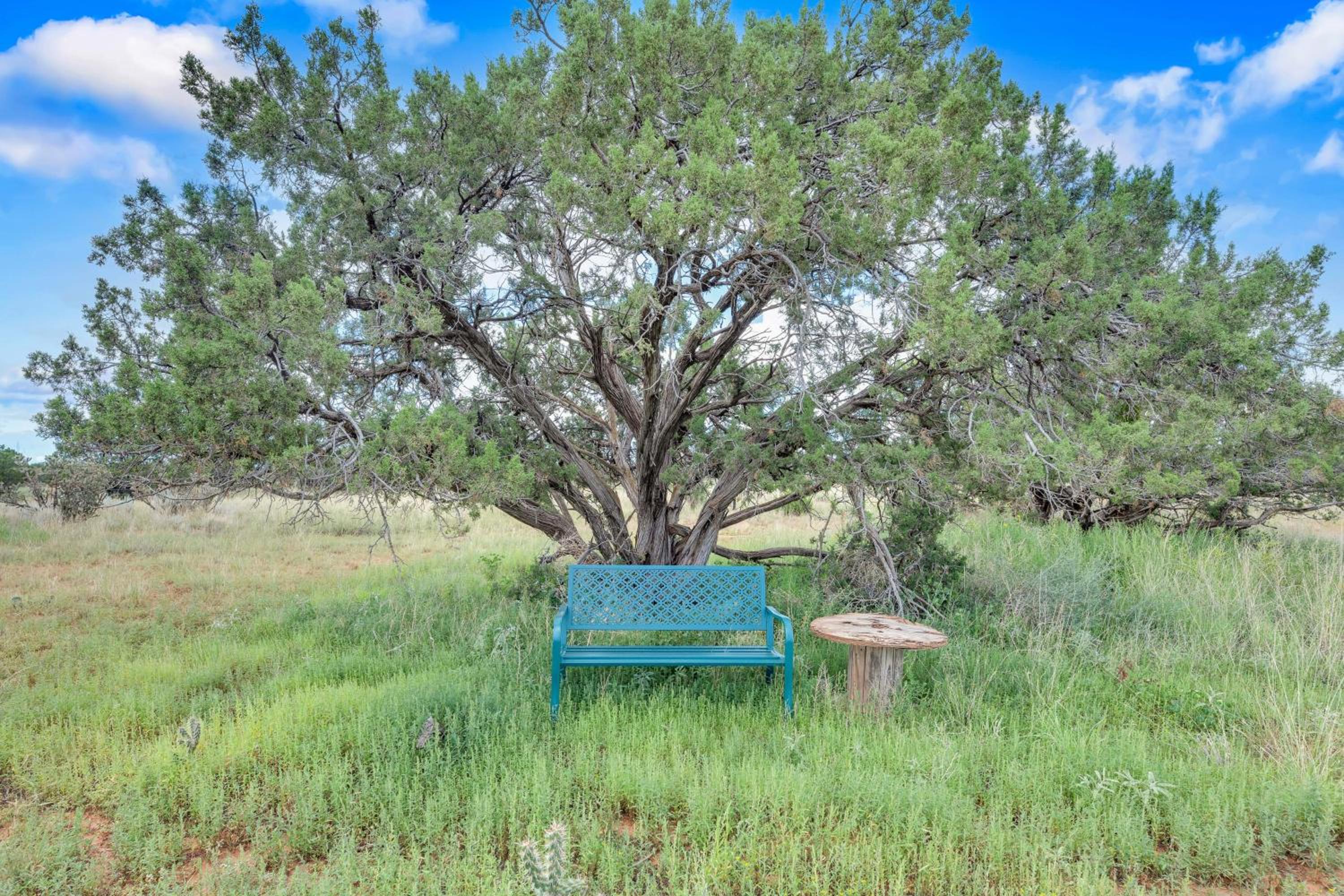 Starry Sky and Serene Setting Rural New Mexico Gem