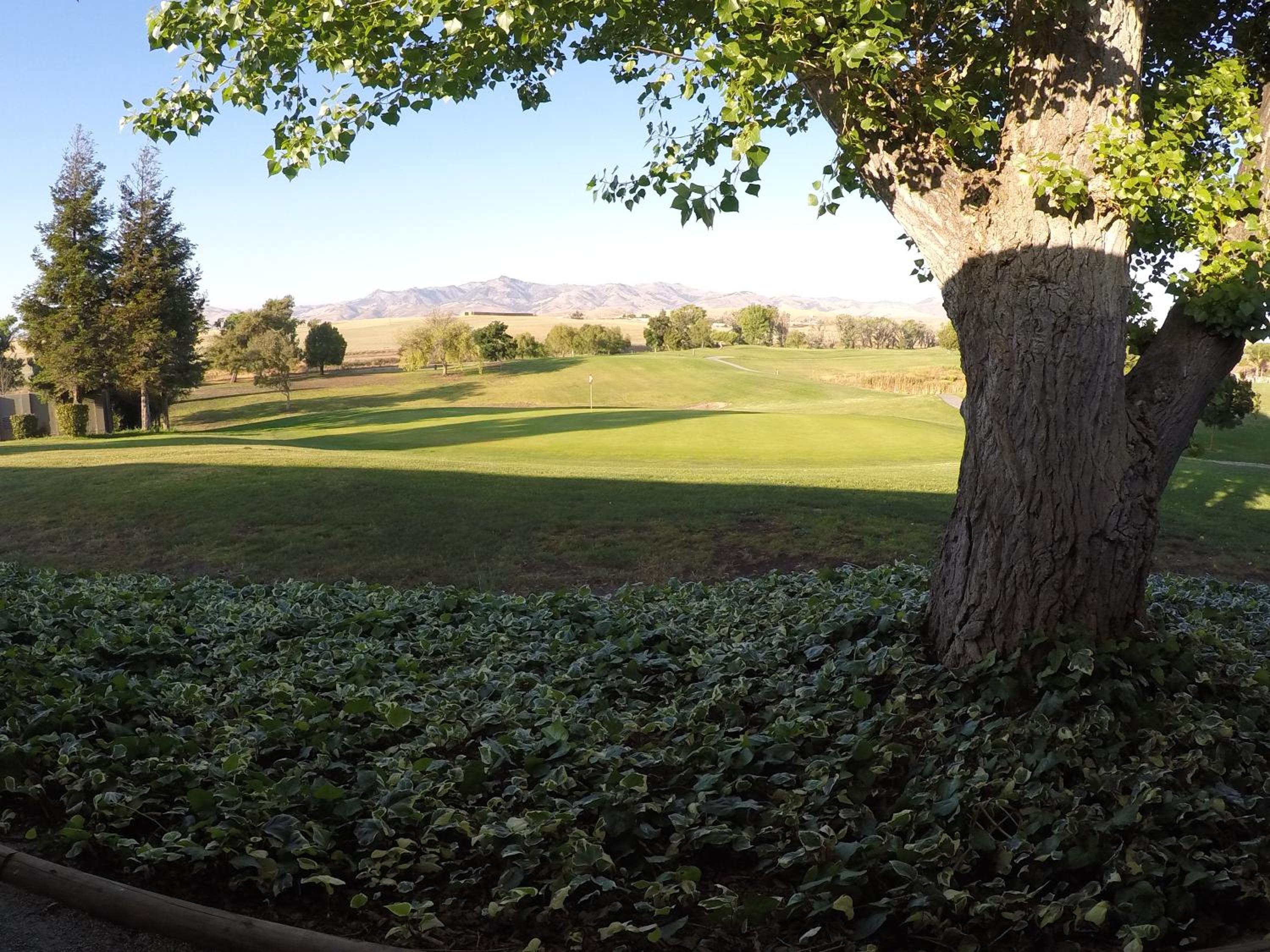 Ridgemark Golf Club and Resort